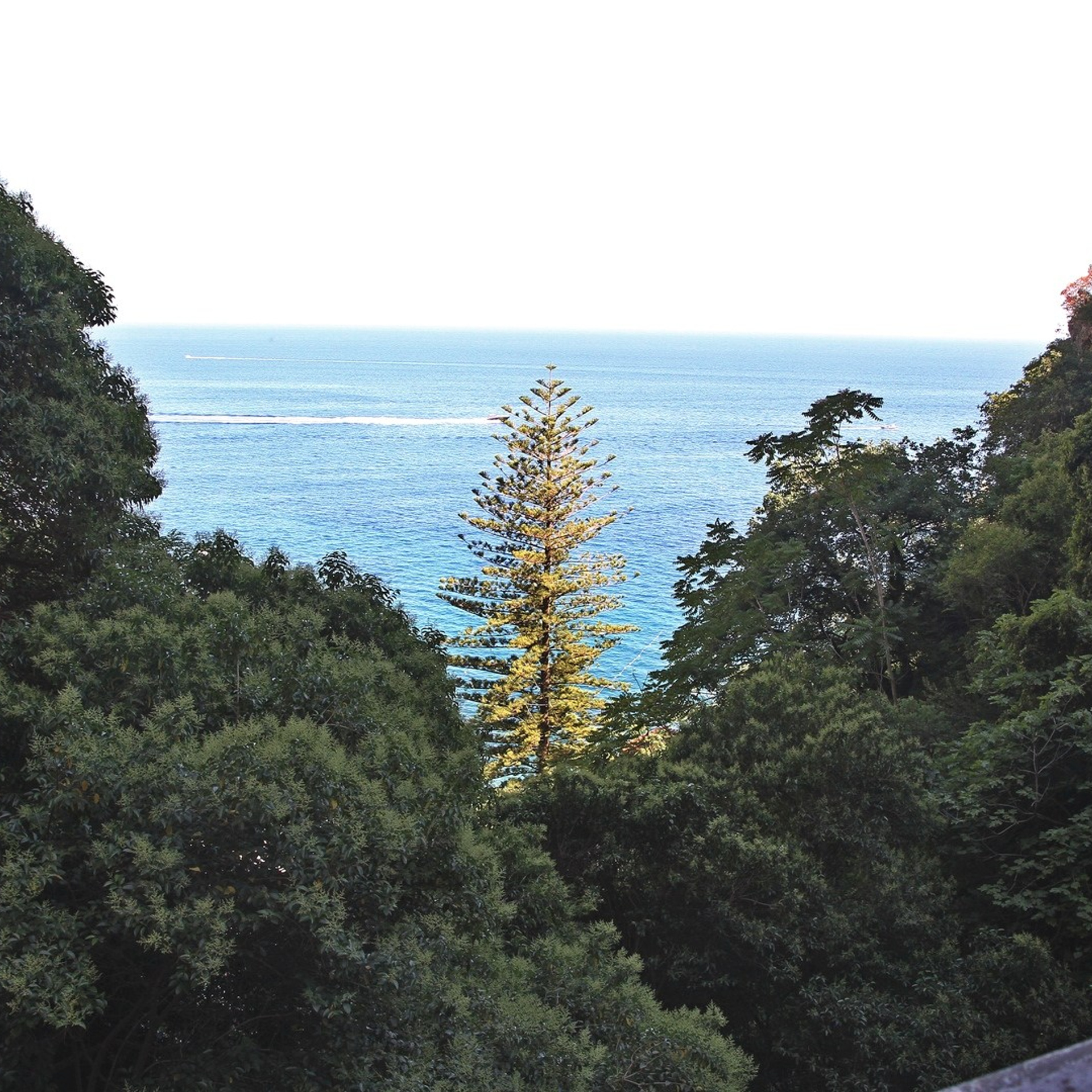 Италия. Амалфи, Бари 2012 г. Улица, люди, жизнь…