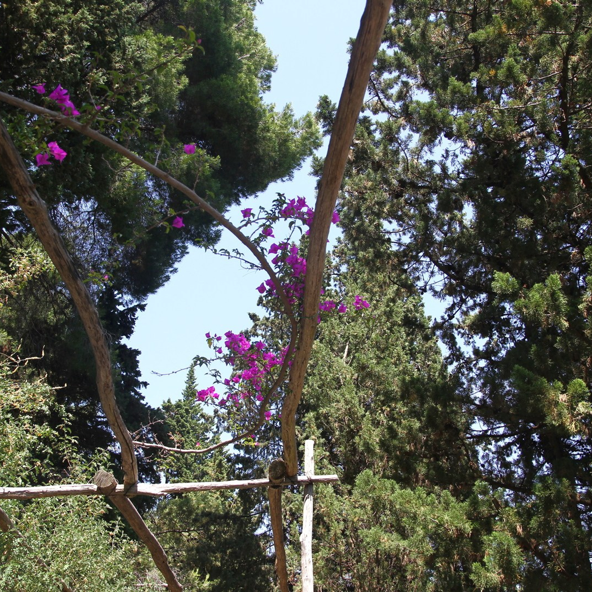 Италия. Амалфи, Бари 2012 г. Улица, люди, жизнь…