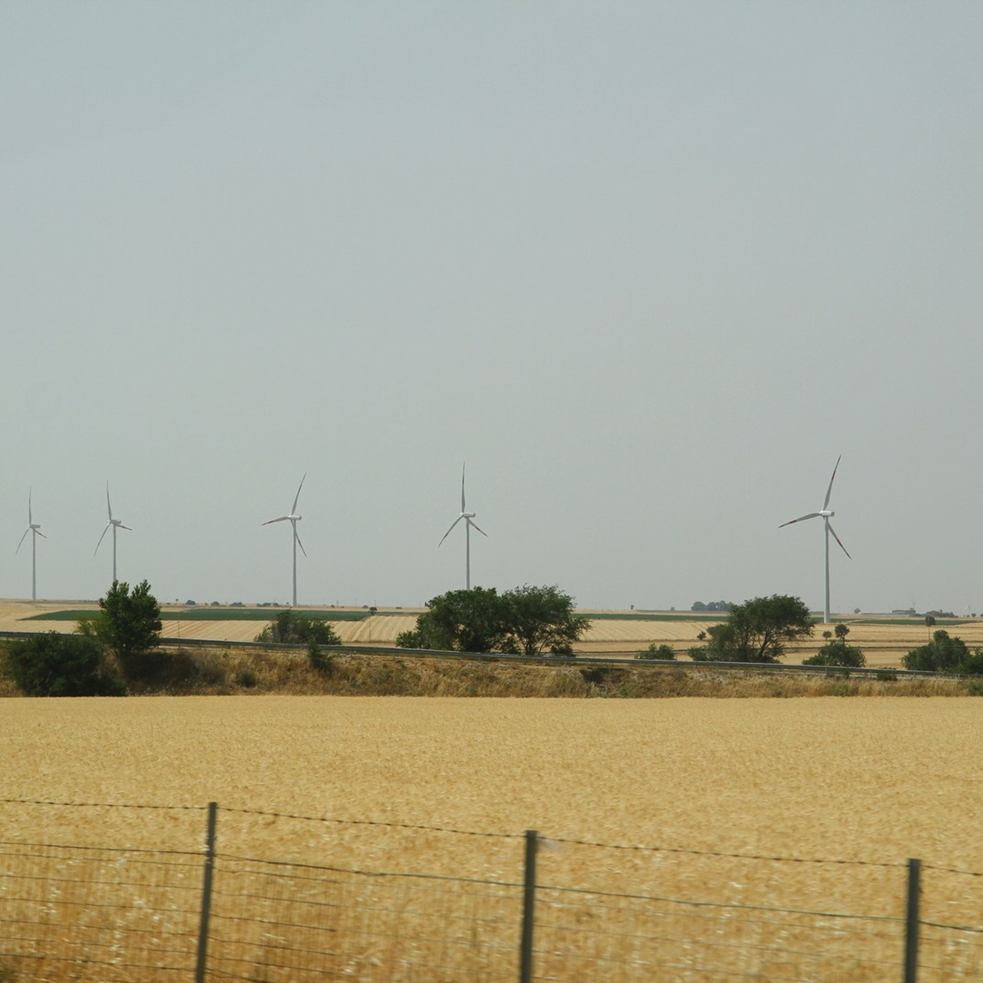 Италия. Амалфи, Бари 2012 г. Улица, люди, жизнь…