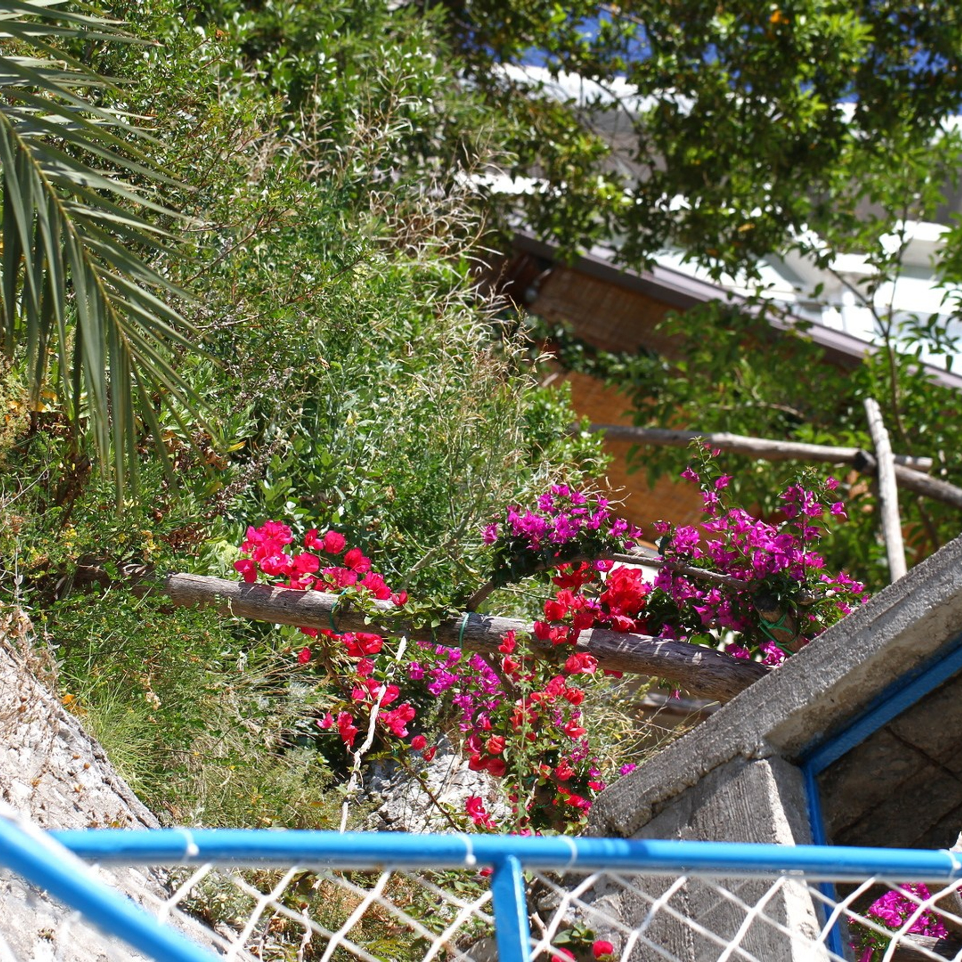 Италия. Амалфи, Бари 2012 г. Улица, люди, жизнь…