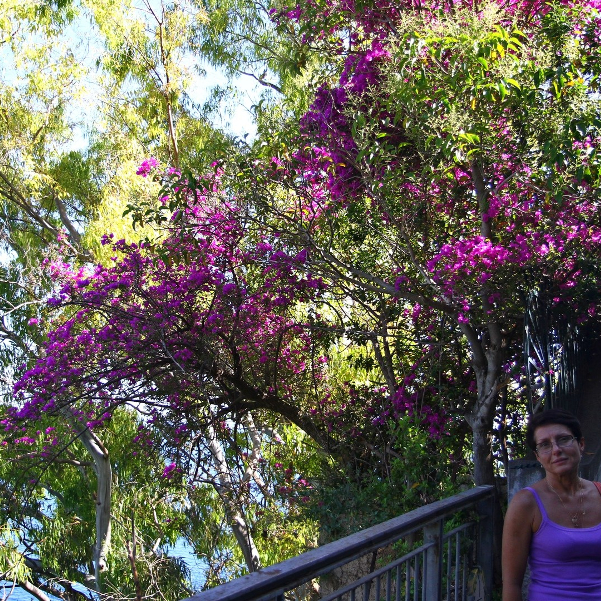 Италия. Амалфи, Бари 2012 г. Улица, люди, жизнь…