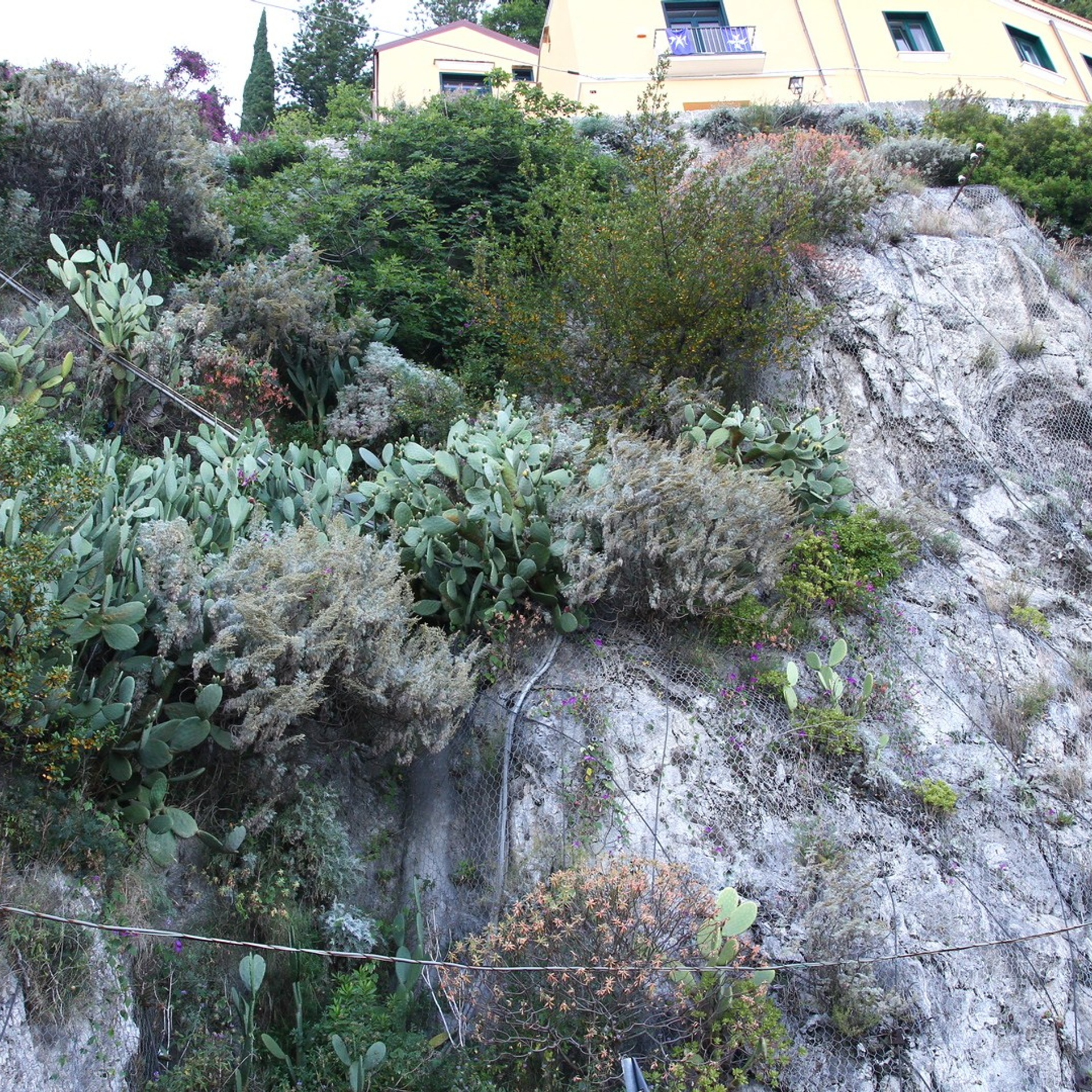 Италия. Амалфи, Бари 2012 г. Улица, люди, жизнь…