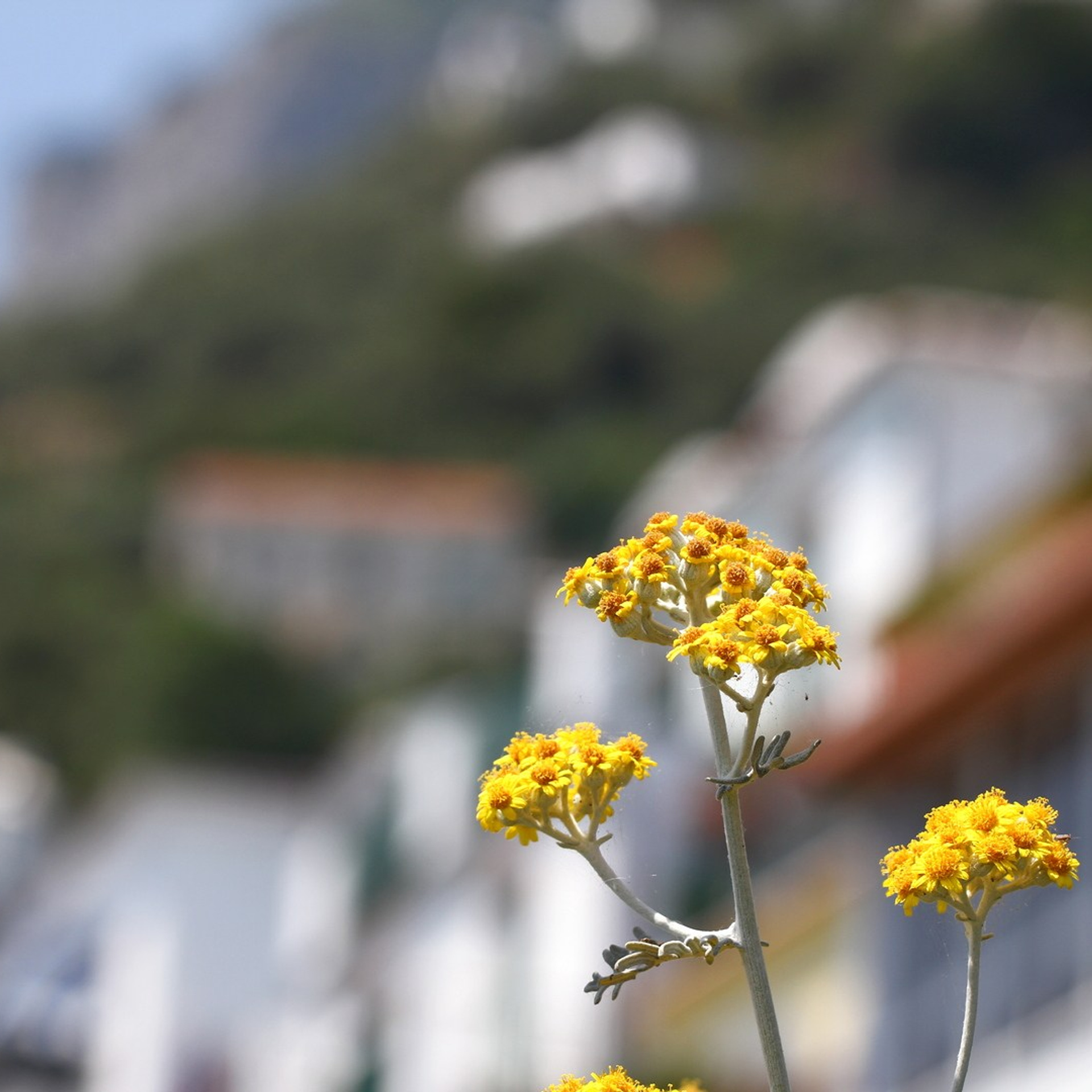 Италия. Амалфи, Бари 2012 г. Улица, люди, жизнь…