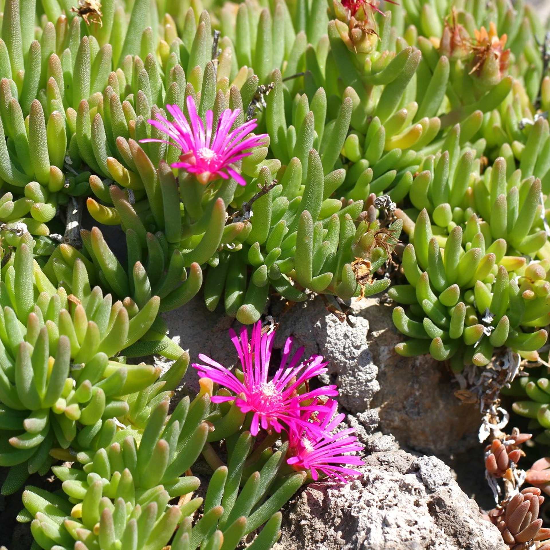 Италия. Амалфи, Бари 2012 г. Улица, люди, жизнь…