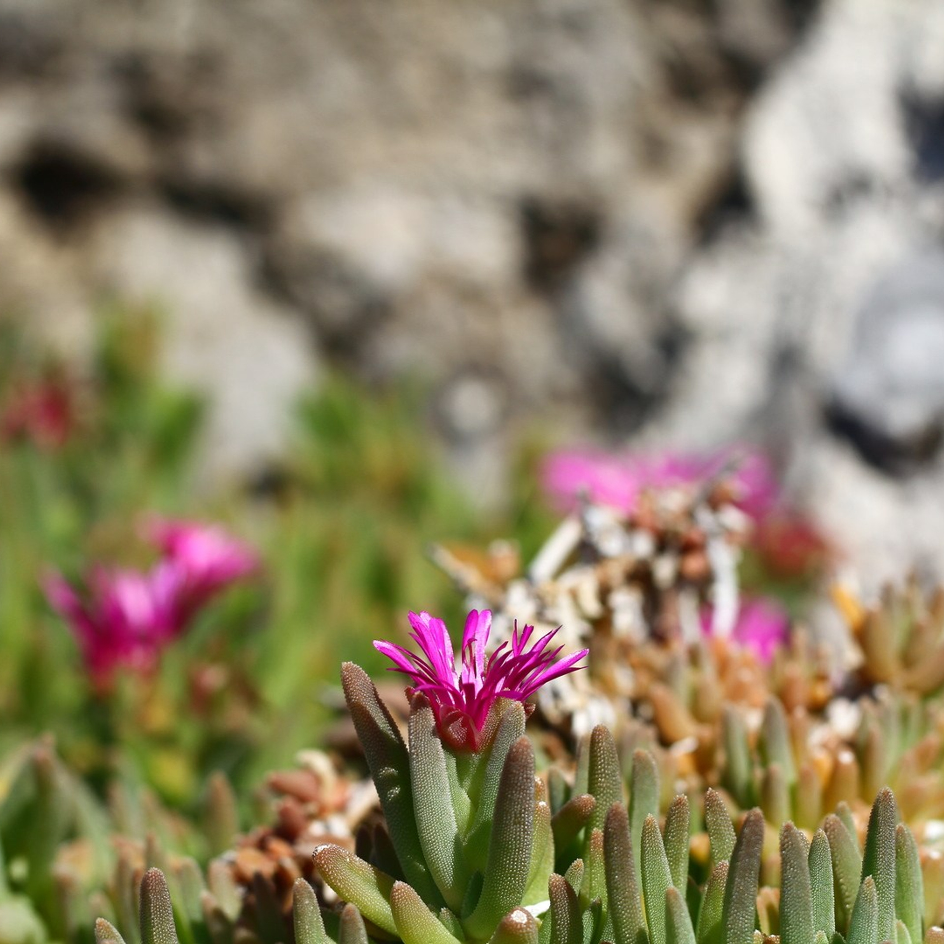 Италия. Амалфи, Бари 2012 г. Улица, люди, жизнь…