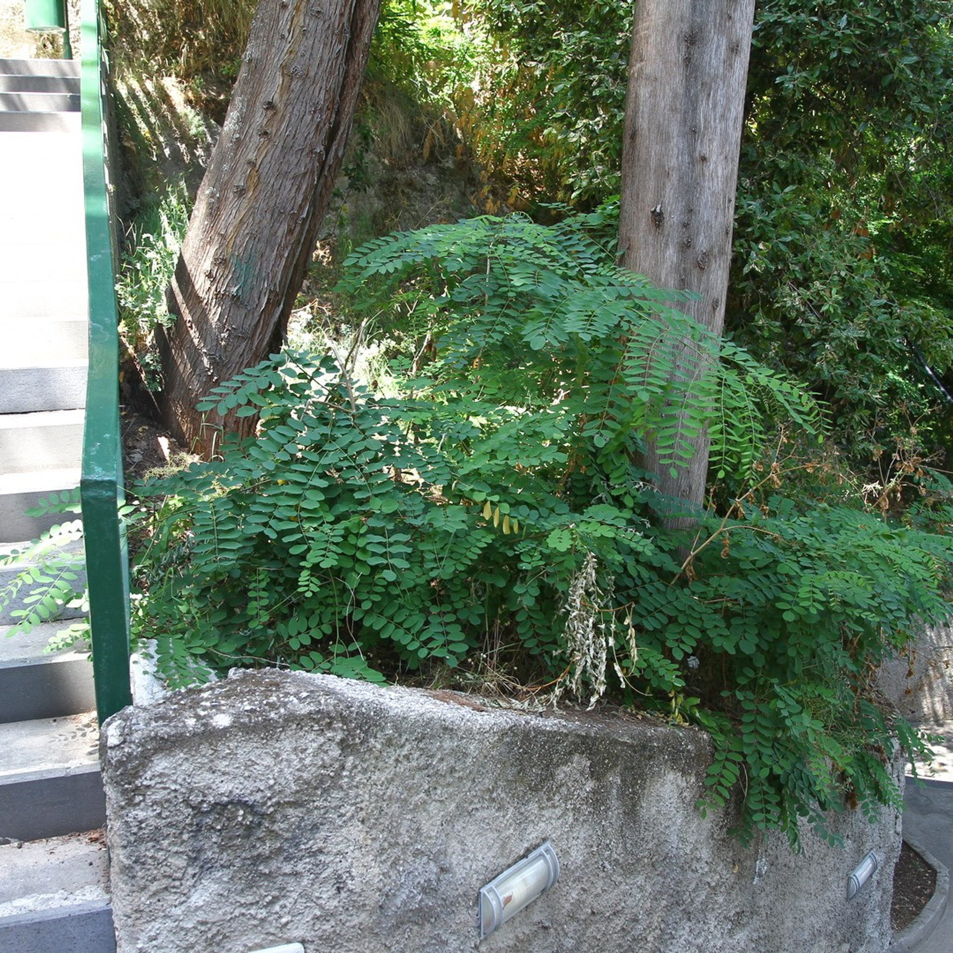 Италия. Амалфи, Бари 2012 г. Улица, люди, жизнь…