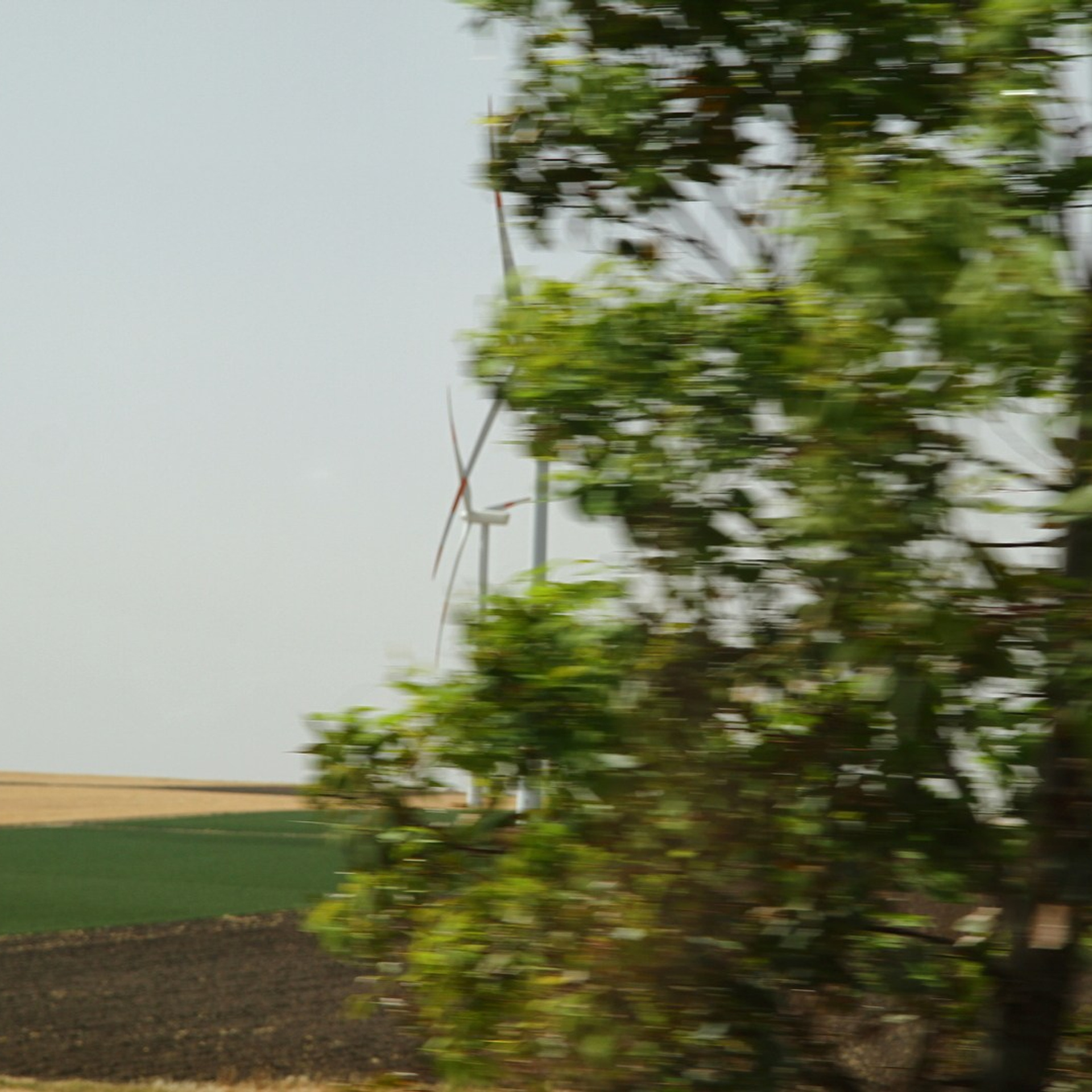 Италия. Амалфи, Бари 2012 г. Улица, люди, жизнь…