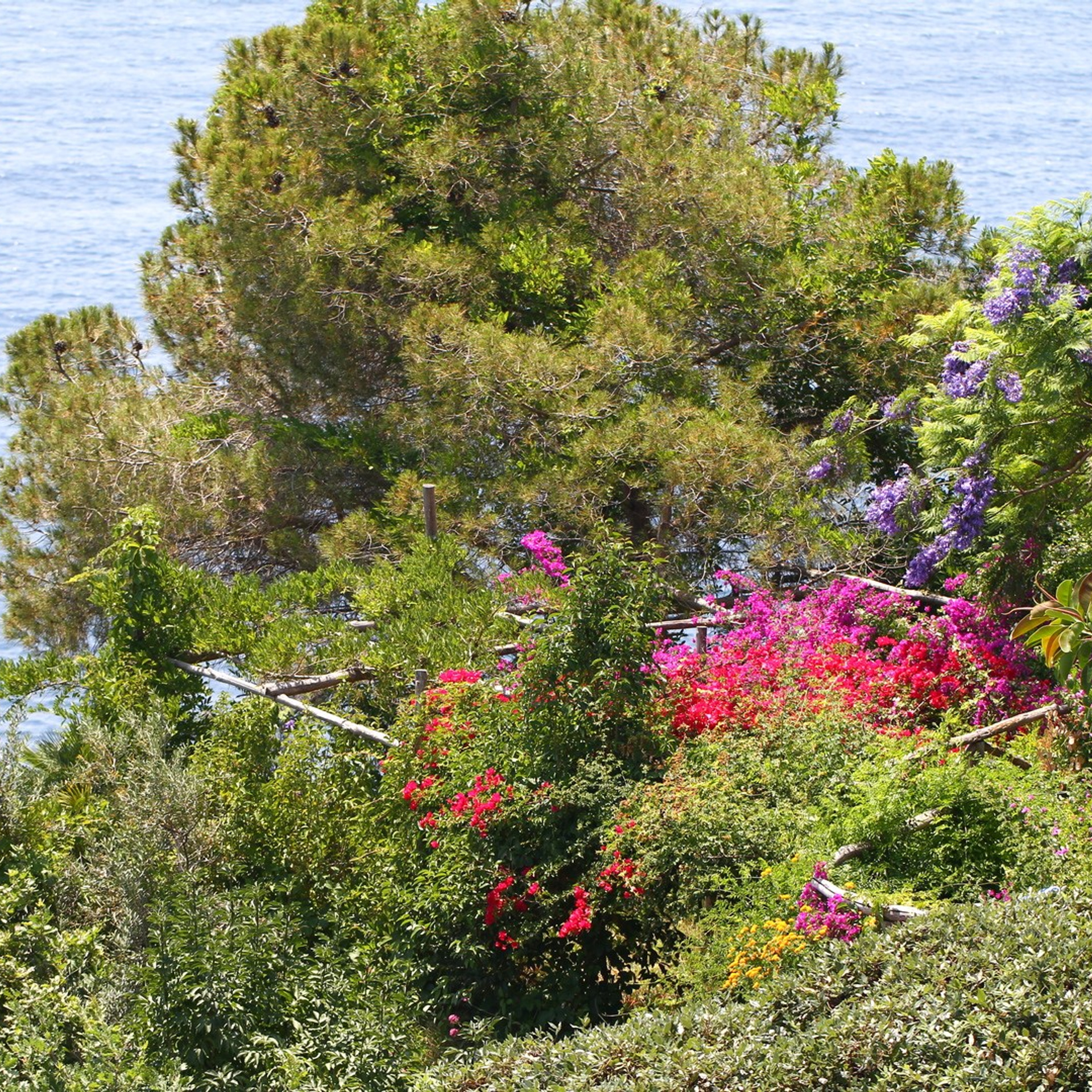 Италия. Амалфи, Бари 2012 г. Улица, люди, жизнь…