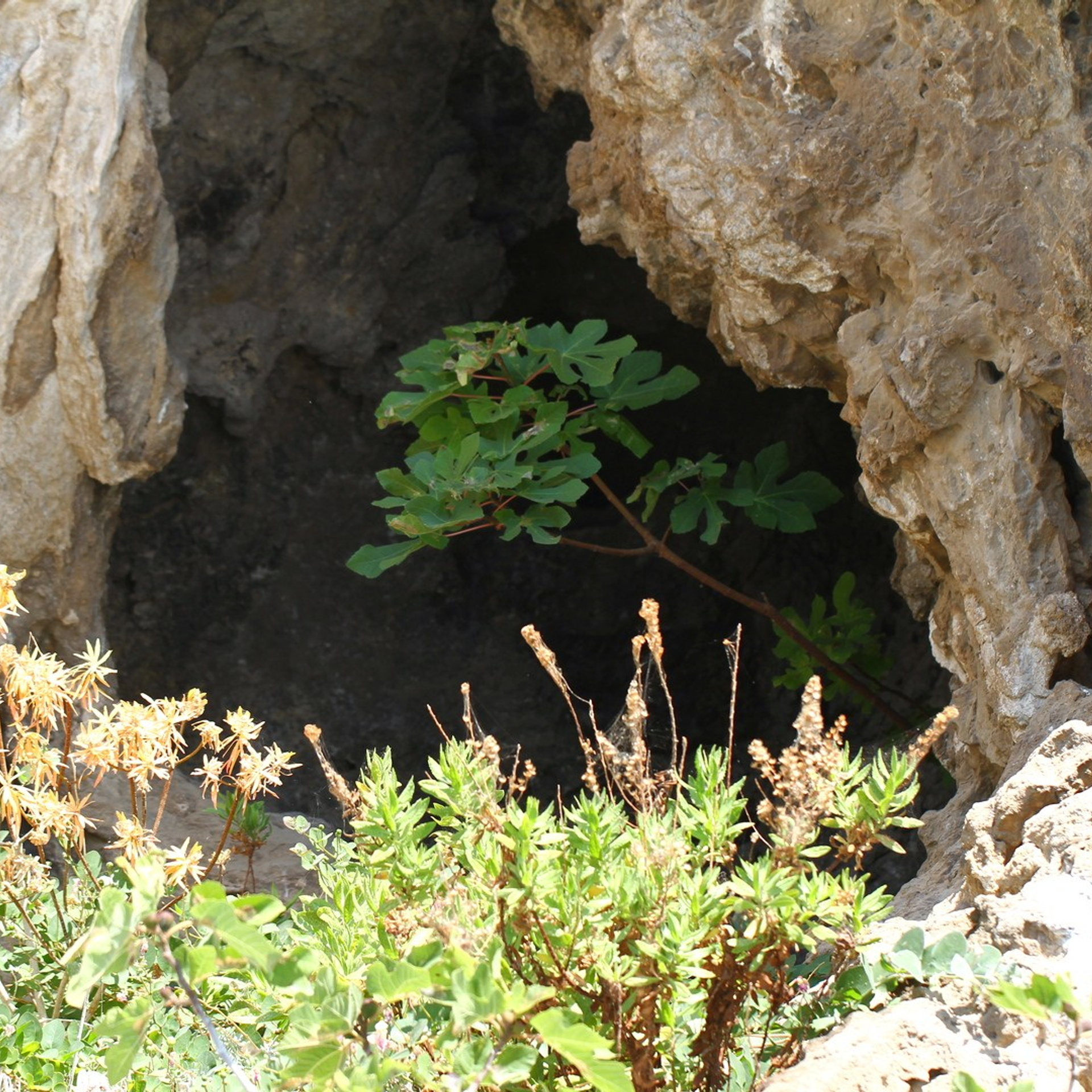 Италия. Амалфи, Бари 2012 г. Улица, люди, жизнь…