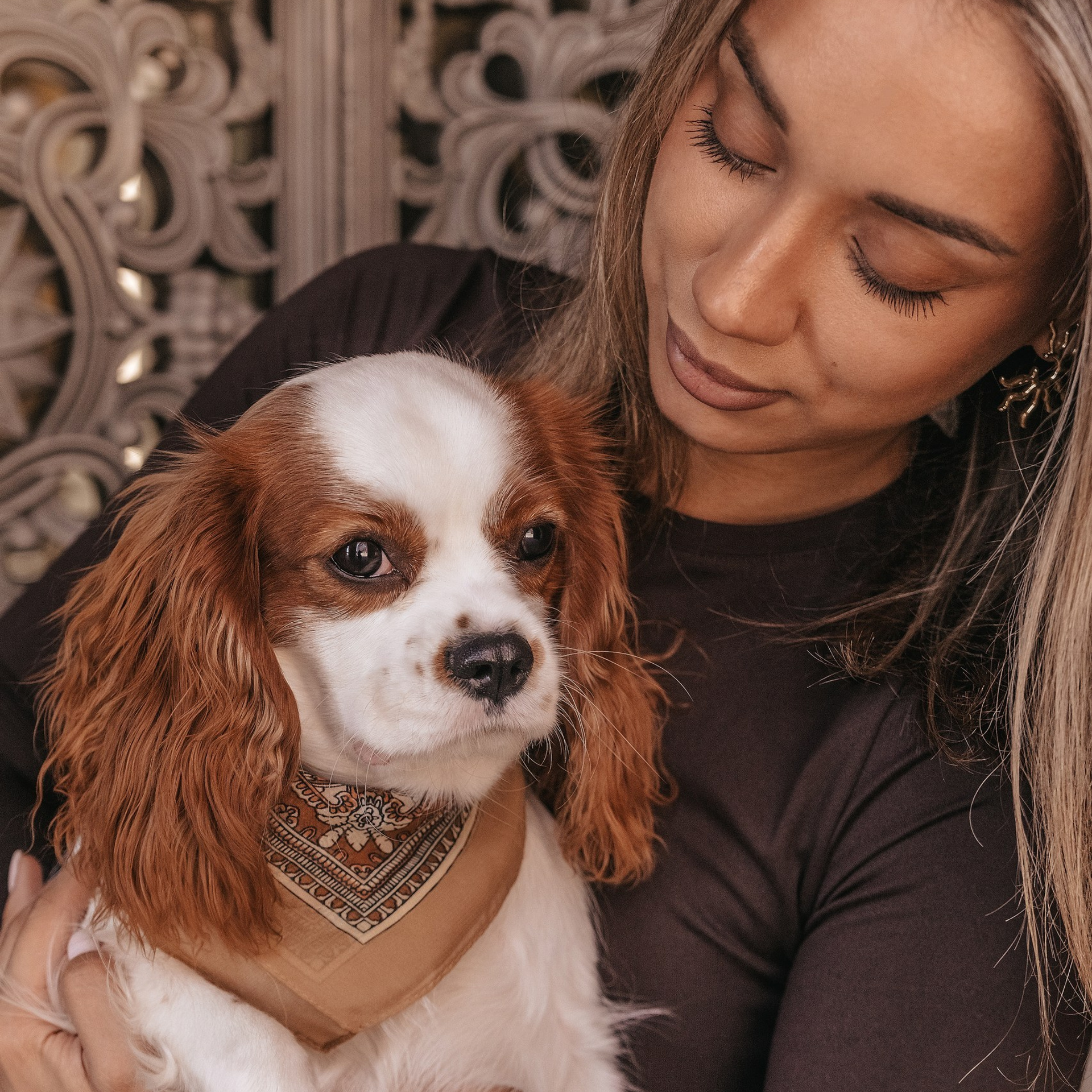 С любимым питомцем. Фотограф Дарья Пудовкина Москва, Московская область