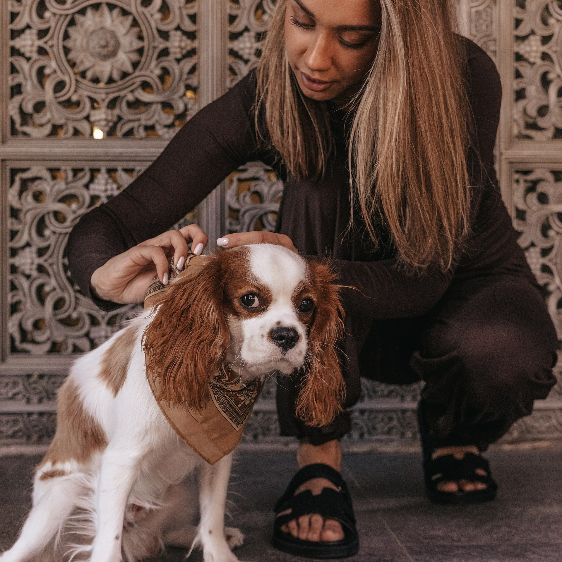 С любимым питомцем. Фотограф Дарья Пудовкина Москва, Московская область