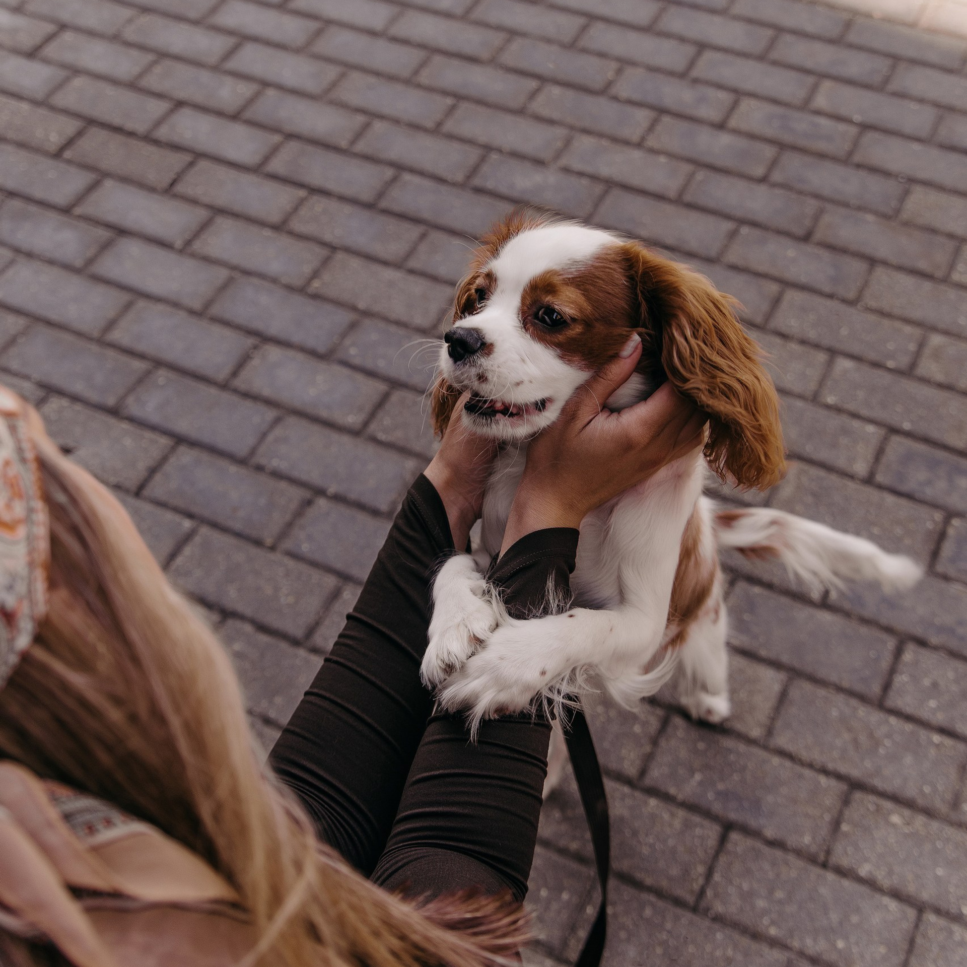 С любимым питомцем. Фотограф Дарья Пудовкина Москва, Московская область