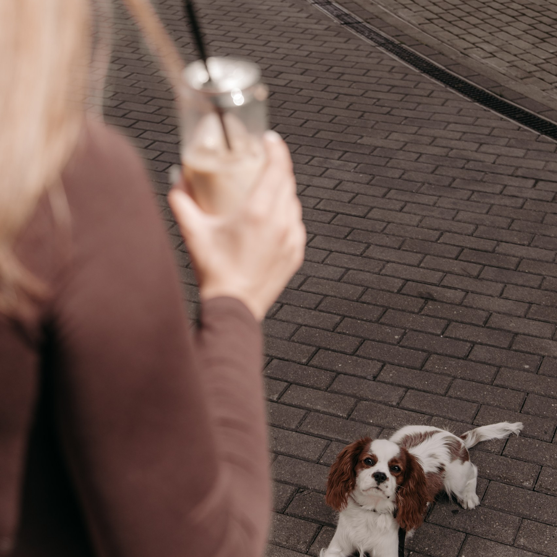 С любимым питомцем. Фотограф Дарья Пудовкина Москва, Московская область