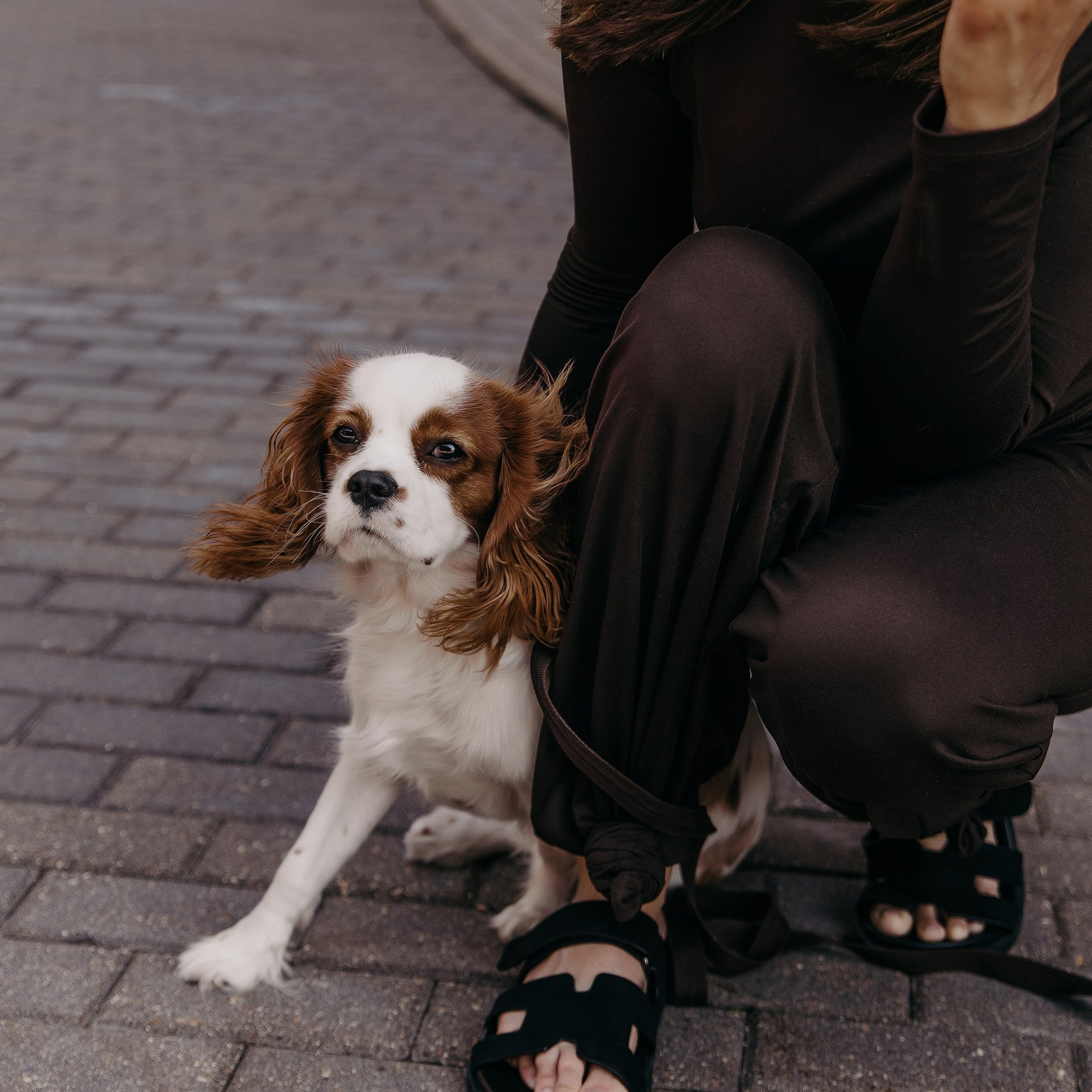С любимым питомцем. Фотограф Дарья Пудовкина Москва, Московская область