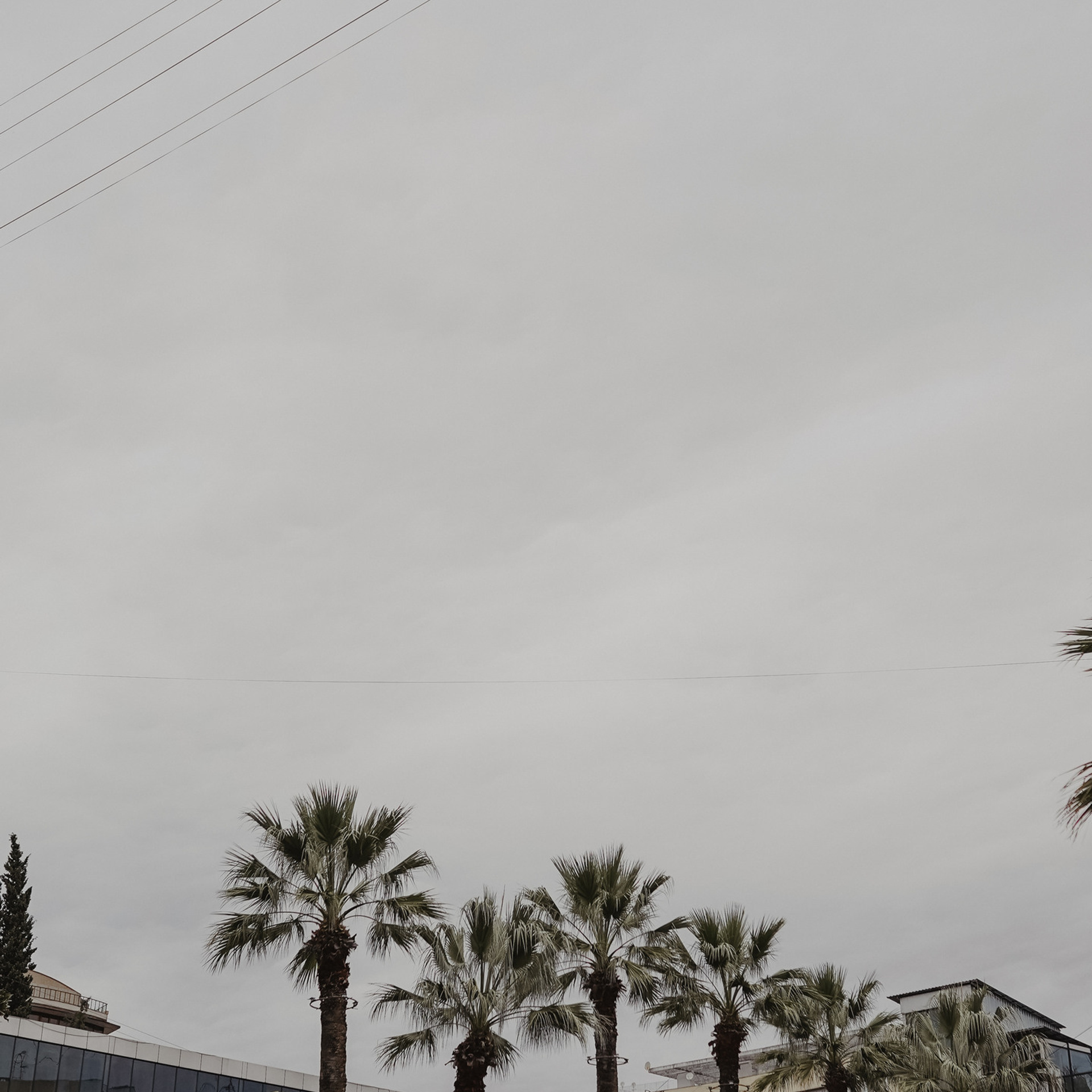 Отзывы о фотографе Милана Довгаль. Милана Довгаль - семейный фотограф и видеограф  в Адлере и Сочи