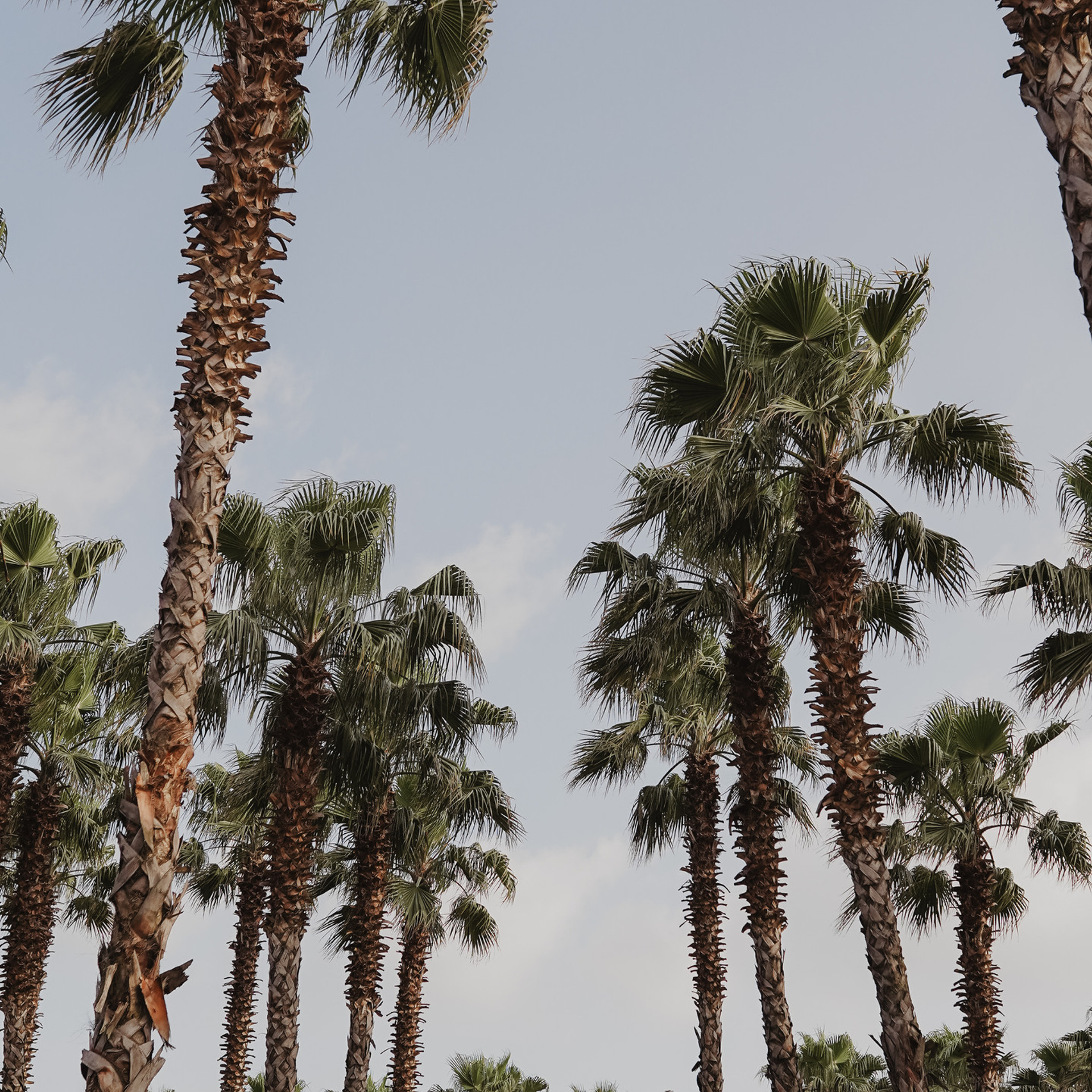 Отзывы о фотографе Милана Довгаль. Милана Довгаль - семейный фотограф и видеограф  в Адлере и Сочи