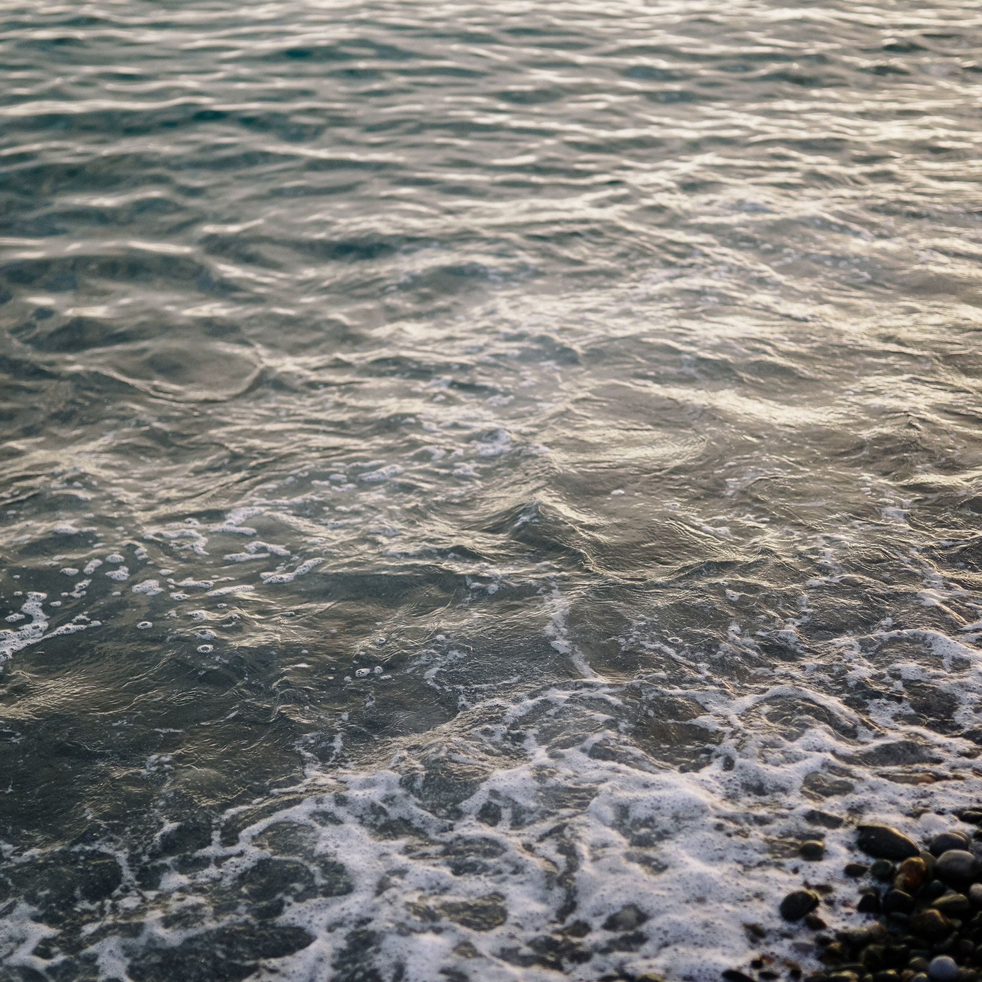 Отзывы о фотографе Милана Довгаль. Милана Довгаль - семейный фотограф и видеограф  в Адлере и Сочи