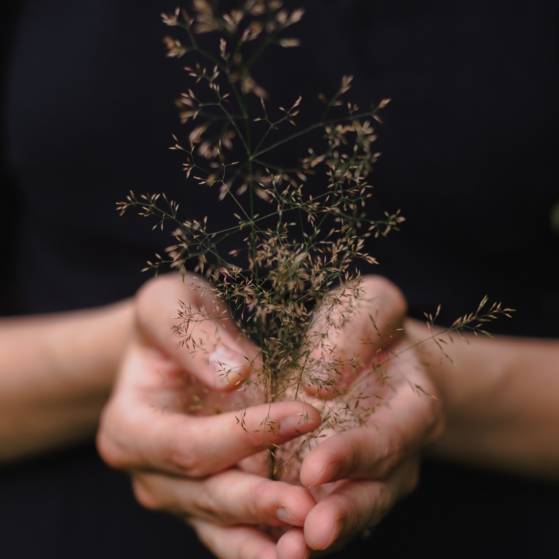 Прогулка с Параскевой