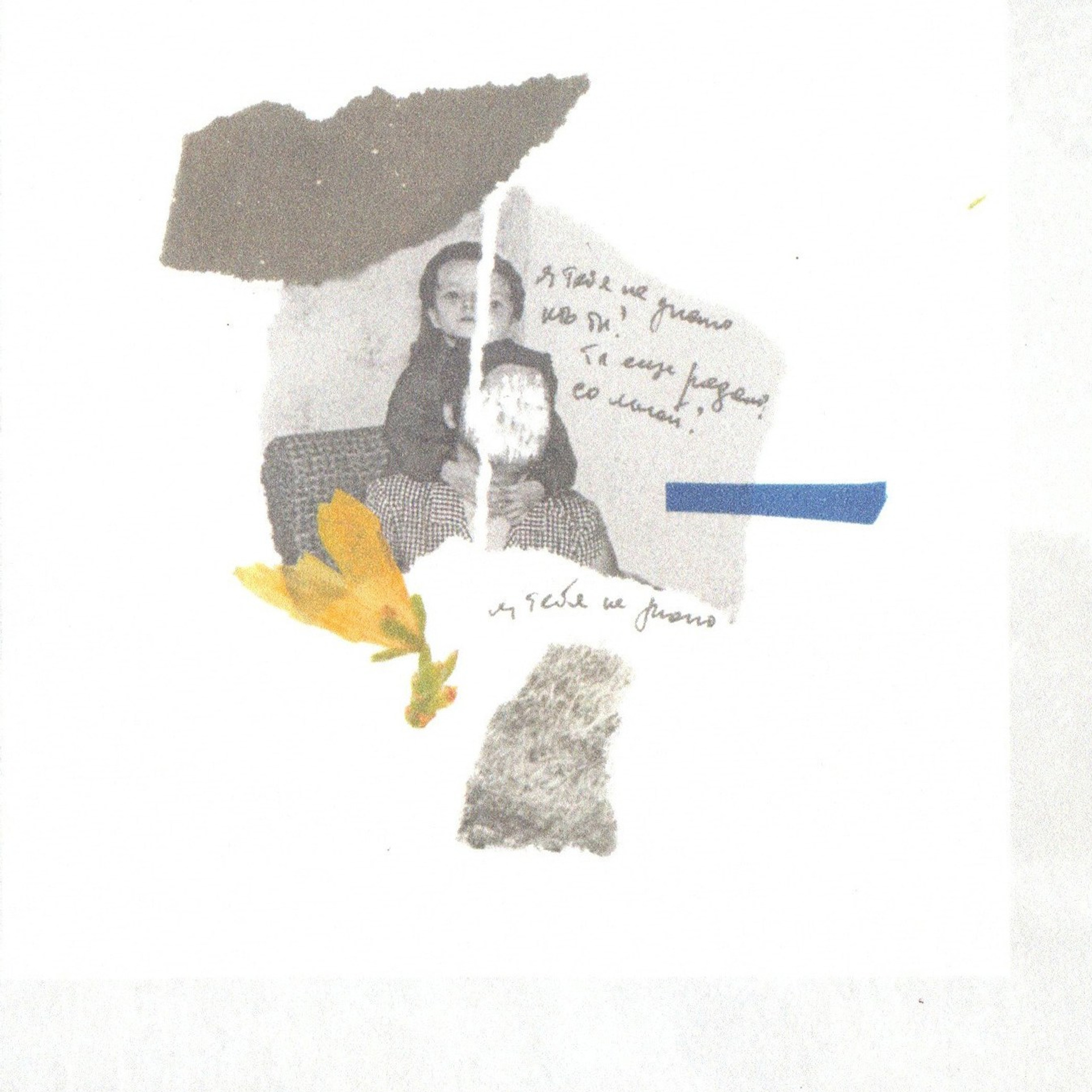 Деревья, которые дают сил