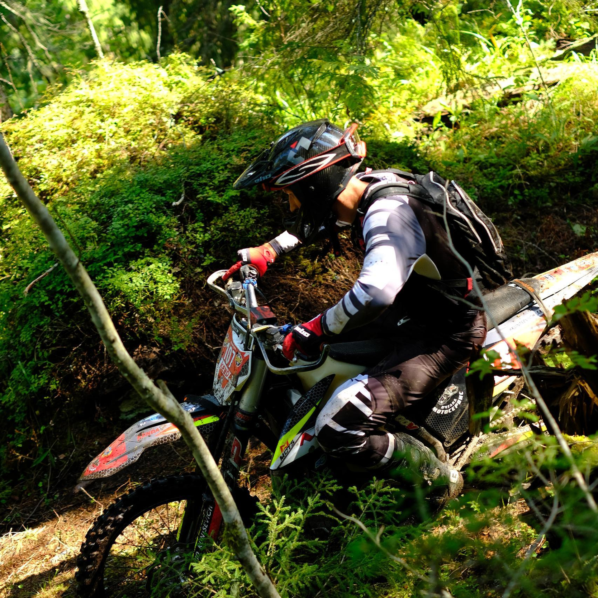 Отзывы. Фотограф в Санкт-Петербурге и Карелии