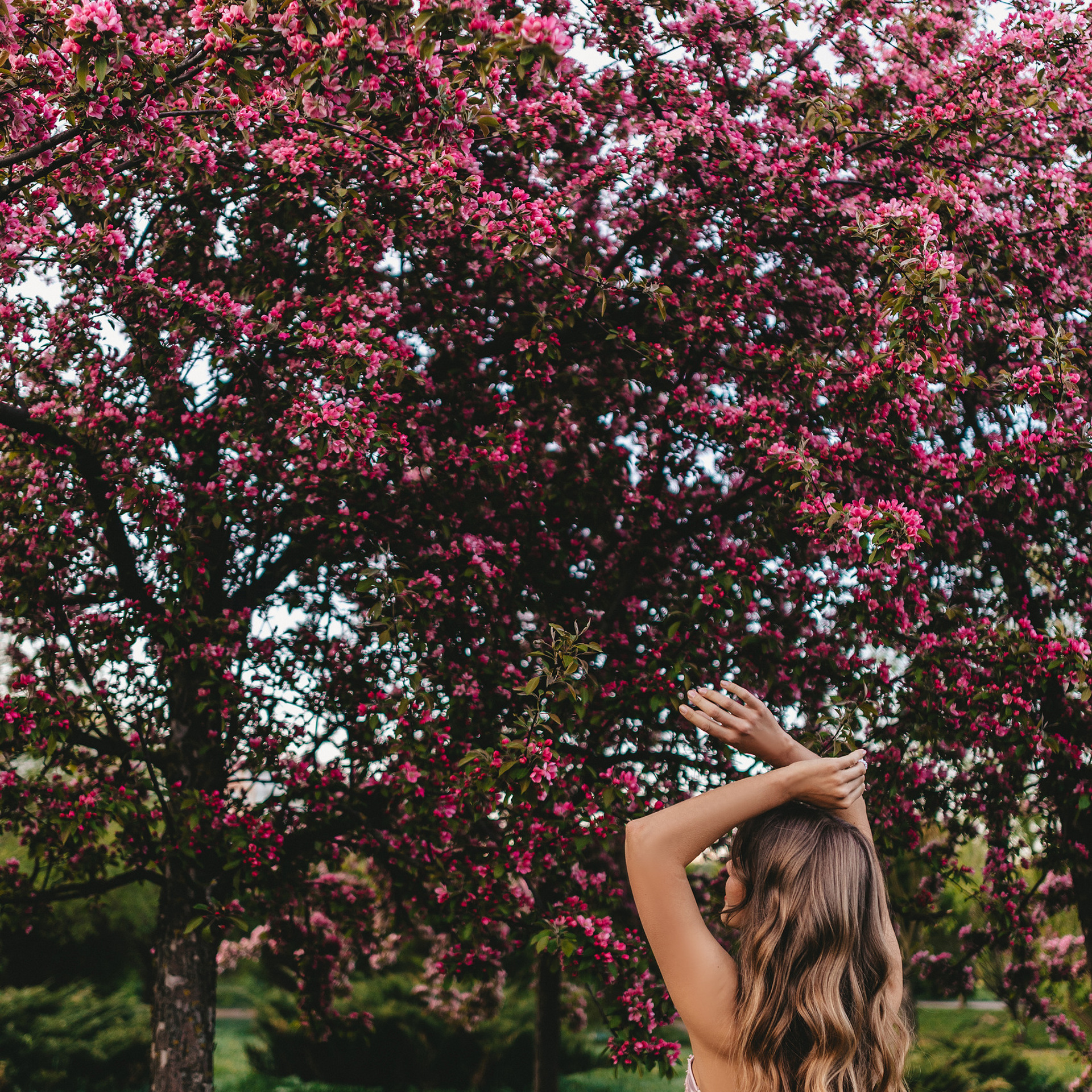 Отзывы. Фотограф в Санкт Петербурге Колантаева Карина