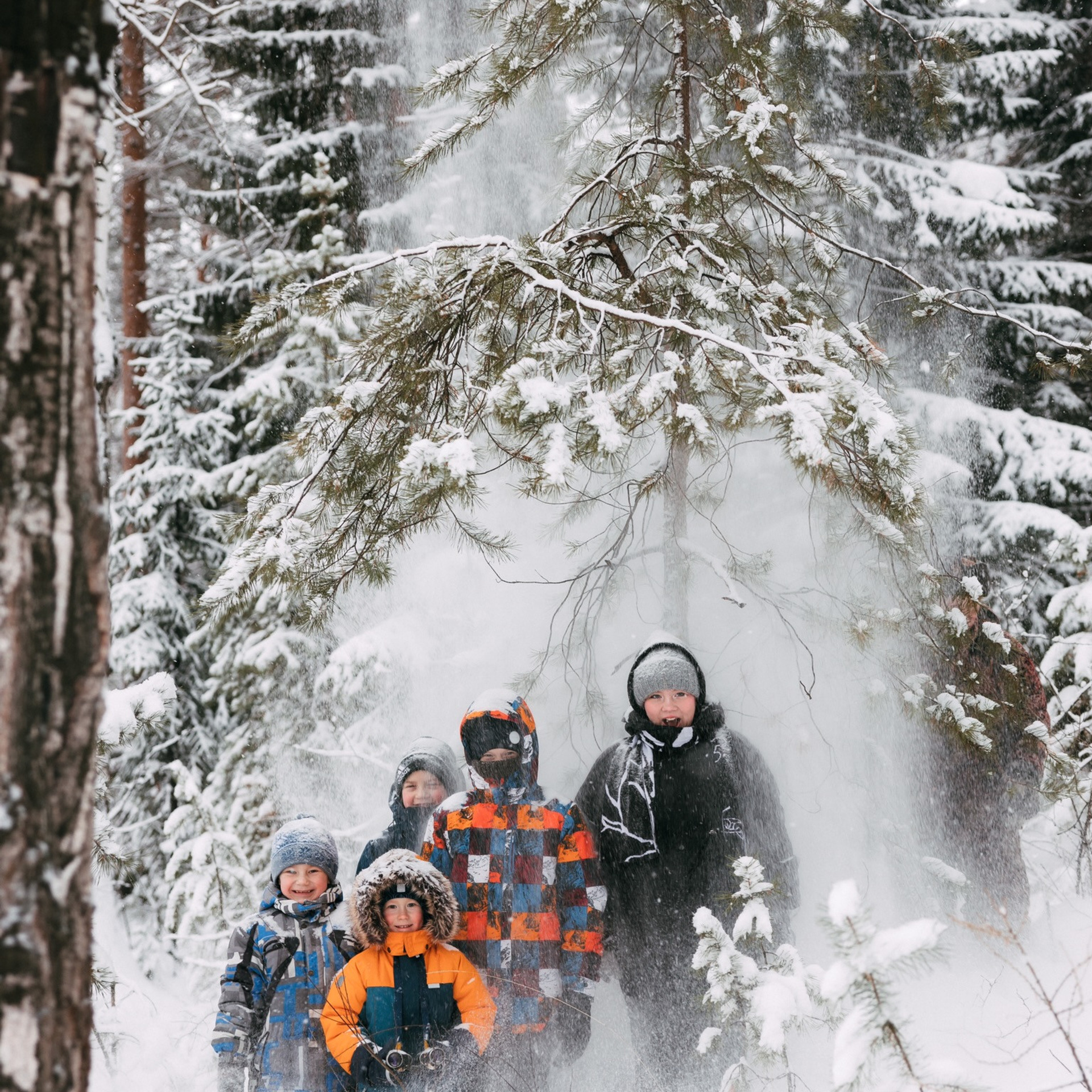 Лесная история