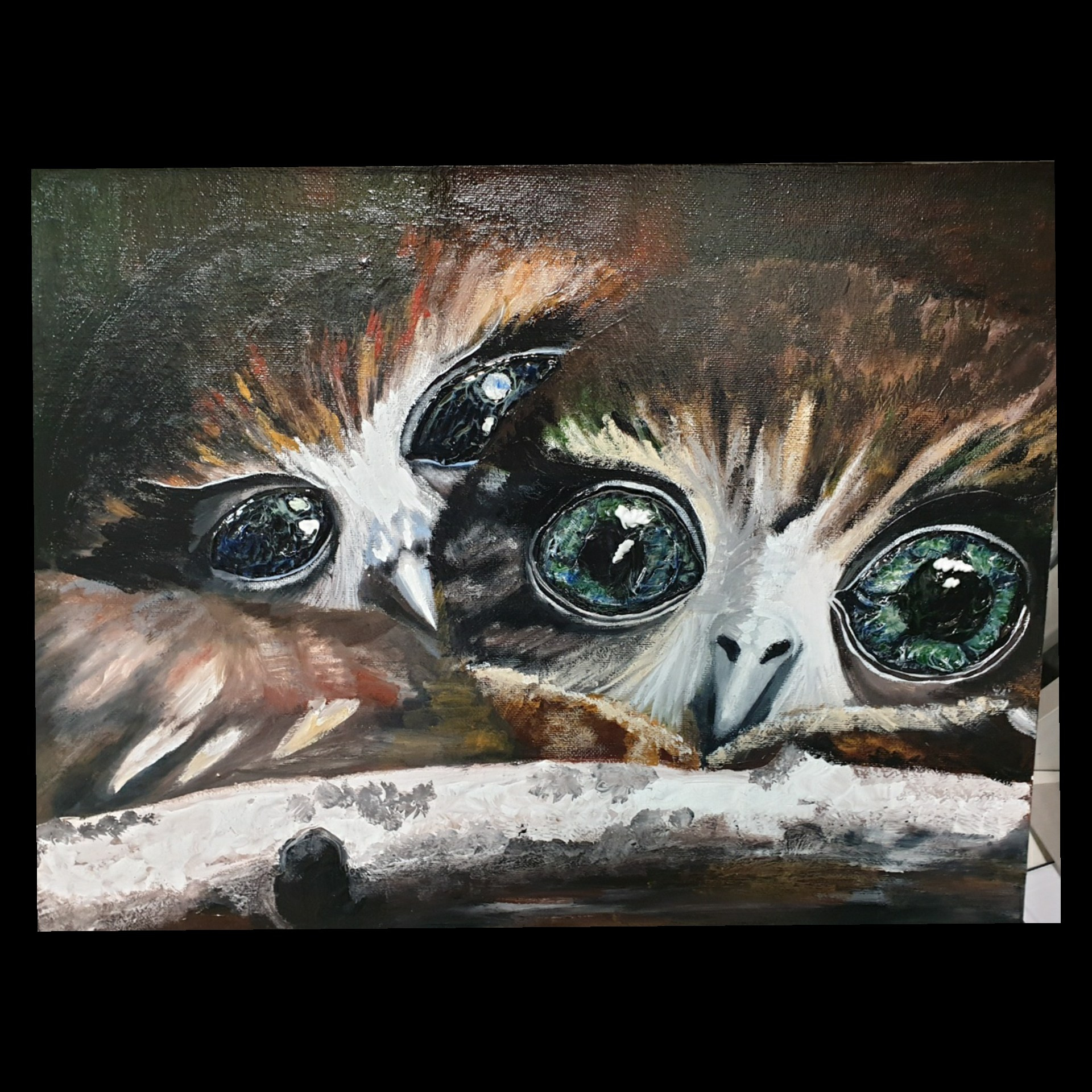 Картины. Графический Дизайнер Скалкина Дарья