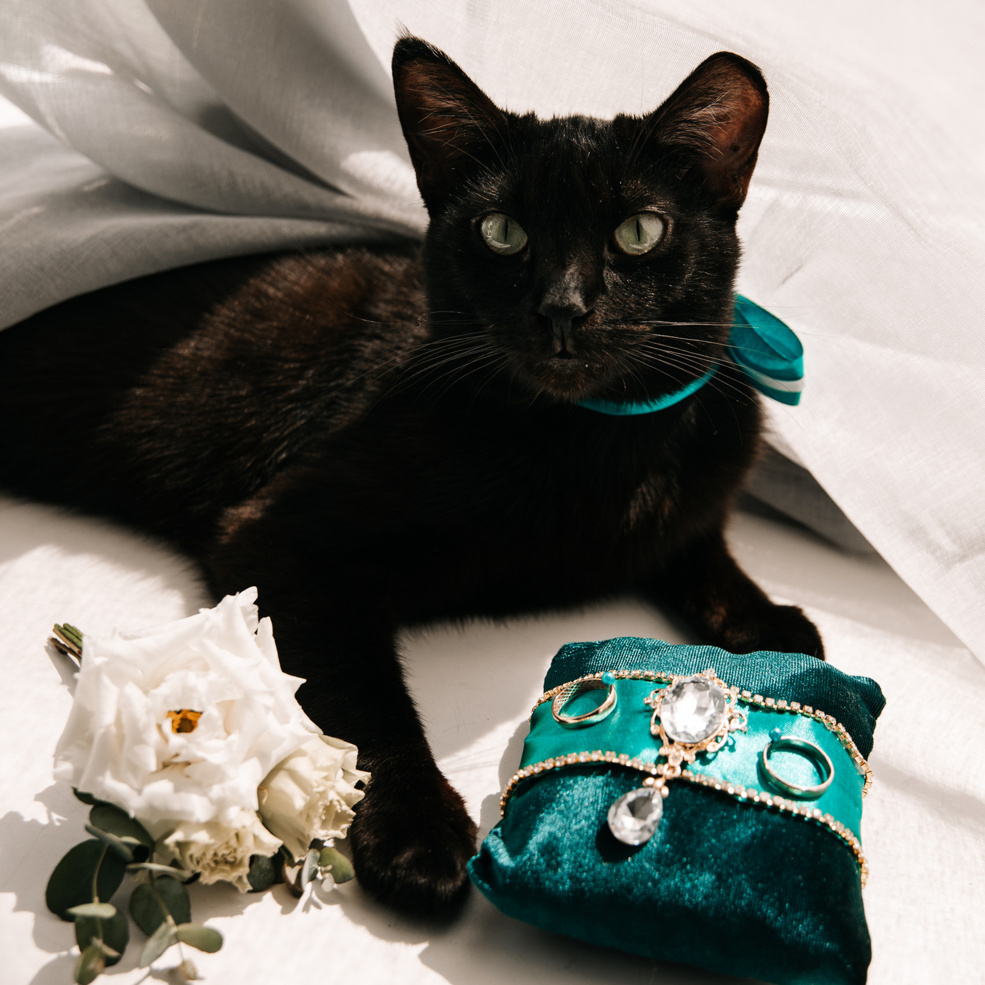 Отзывы. Свадебный Фотограф Уссурийск — Владивосток Мария Булавина