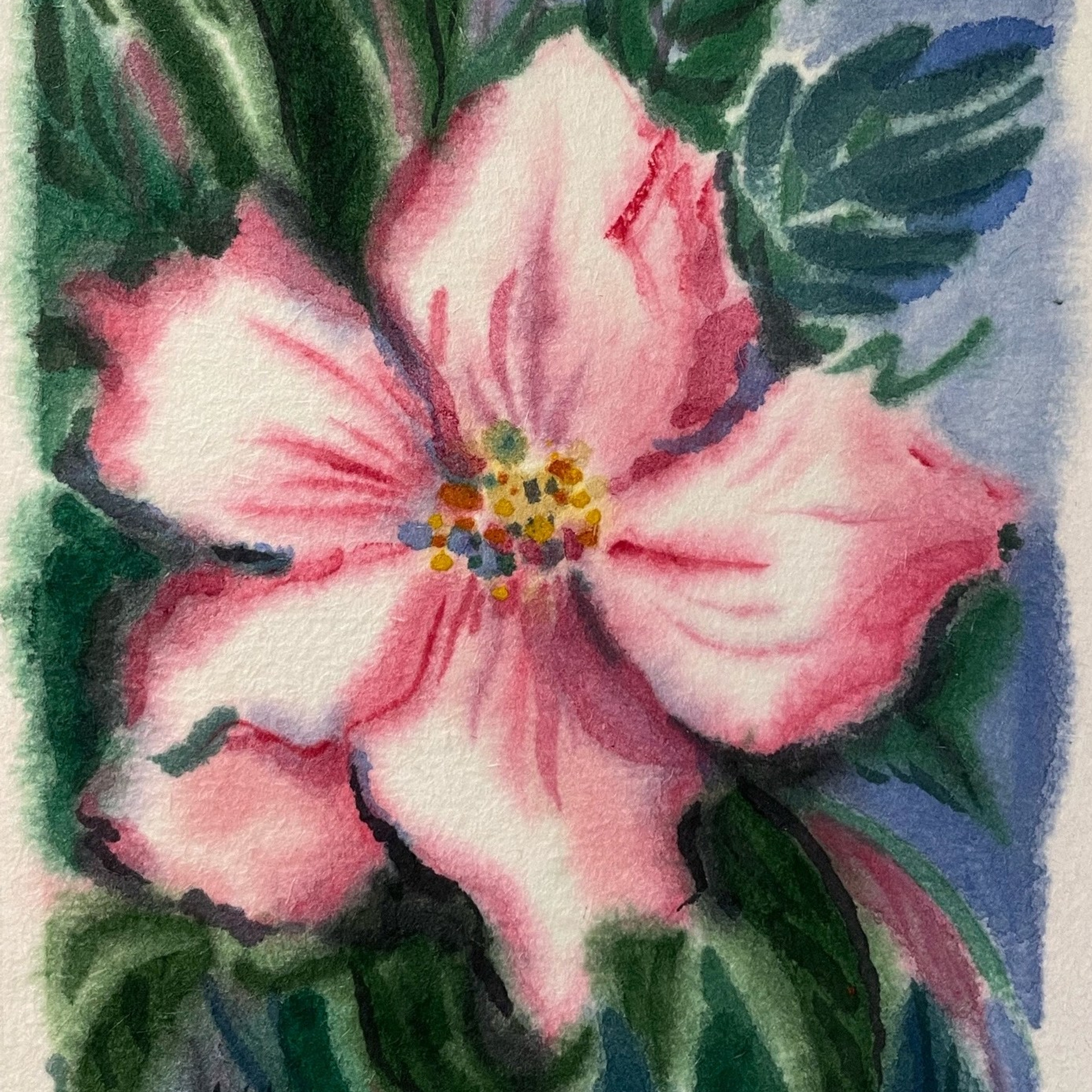 «Шиповник». Акварель, 10х14,5 см., 2026
