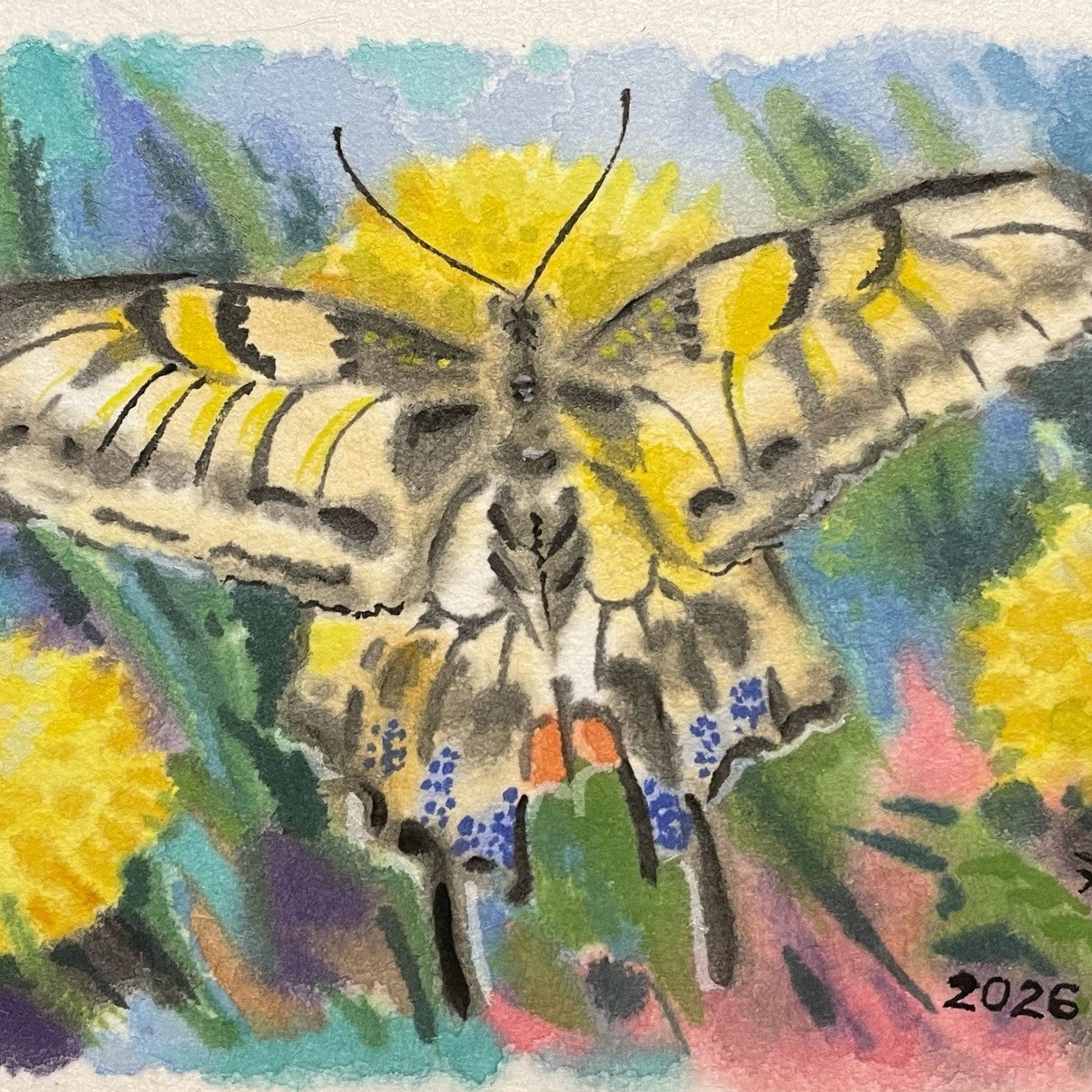 «Бабочка». Акварель, 14,5х10 см., 2026