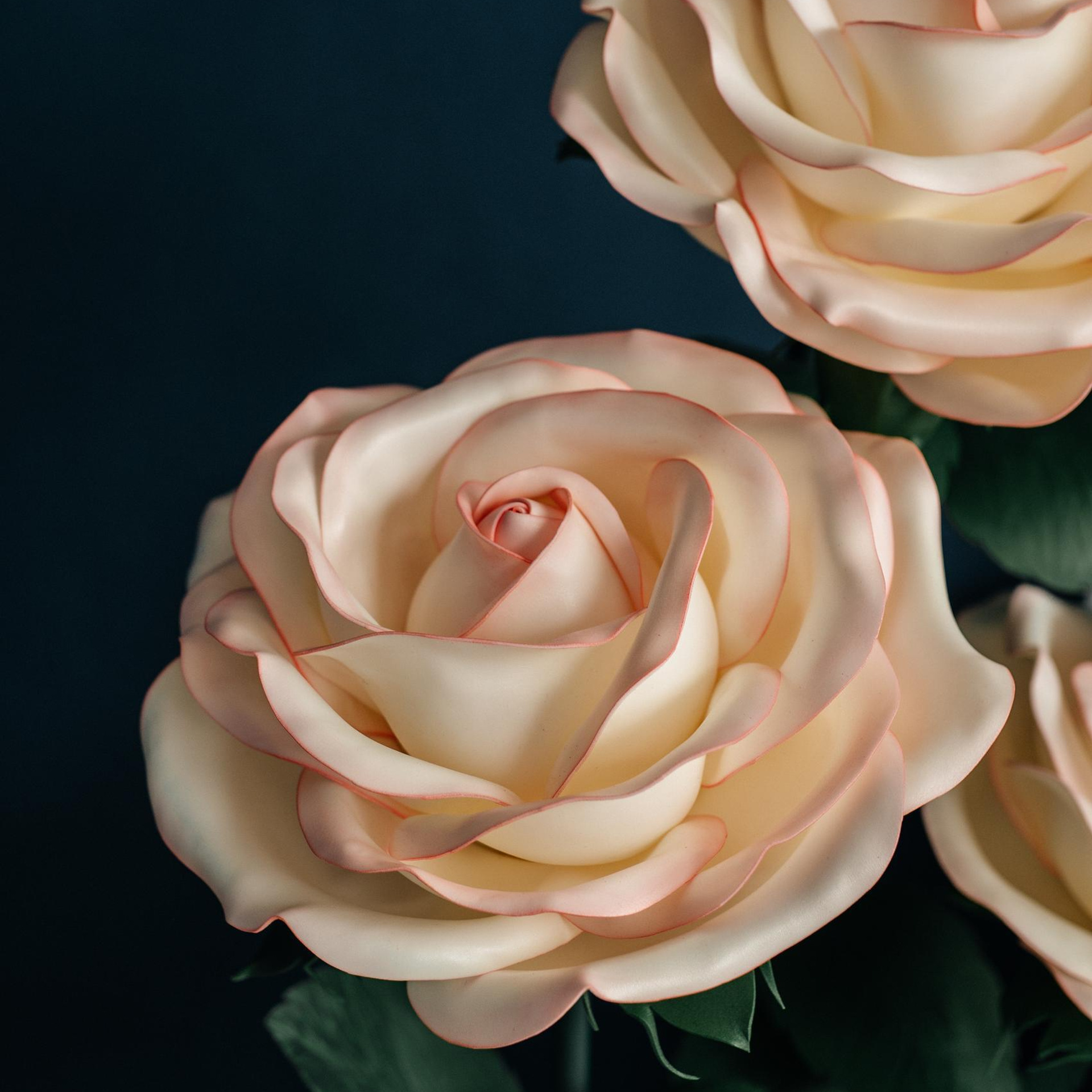 Отзывы. Катя Курлович — семейный фотограф в Бобруйске и Минске