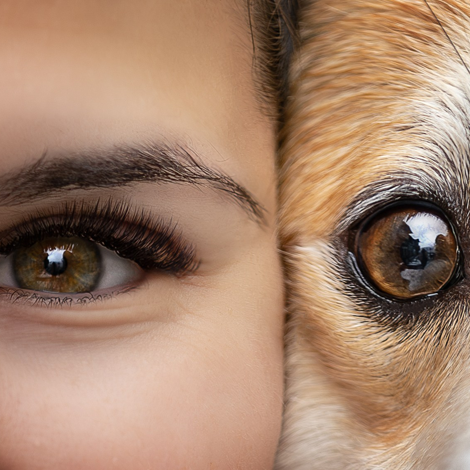 Отзывы. Ирина Голомб|Фотограф-анималист в  Сочи и Калининграде