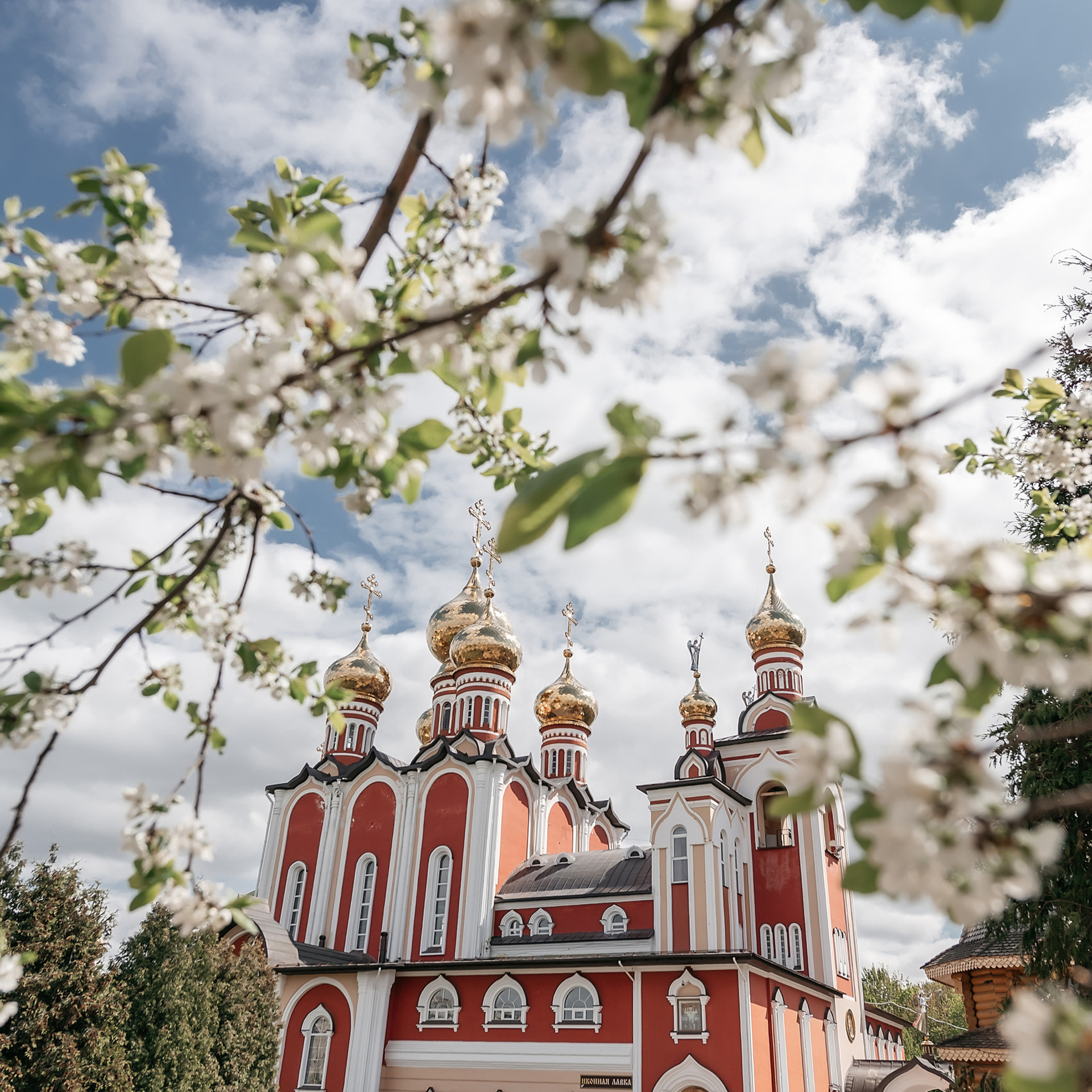 Отзывы. Свадебный и семейный фотограф Чебоксары Ольга Ник