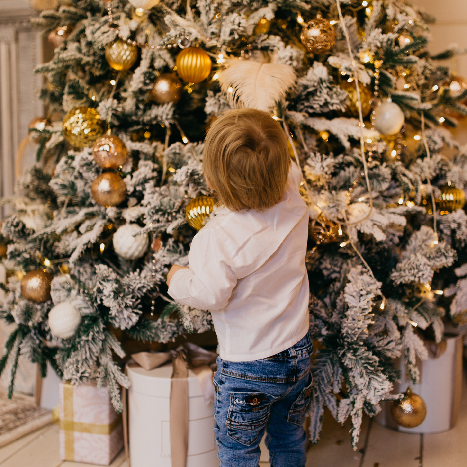 Отзывы. Фотограф Санкт-Петербург Луконина Лилия