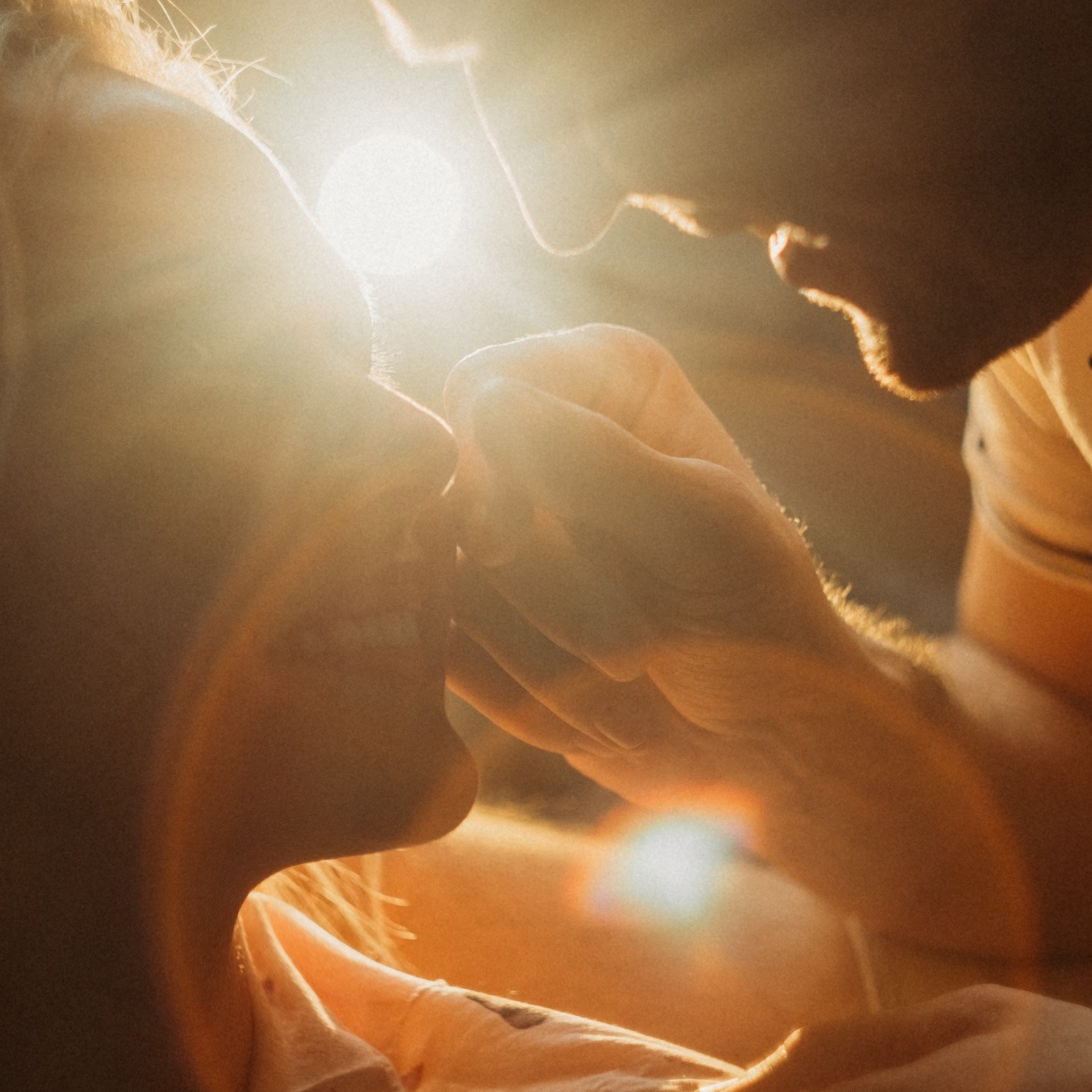 Домашняя история