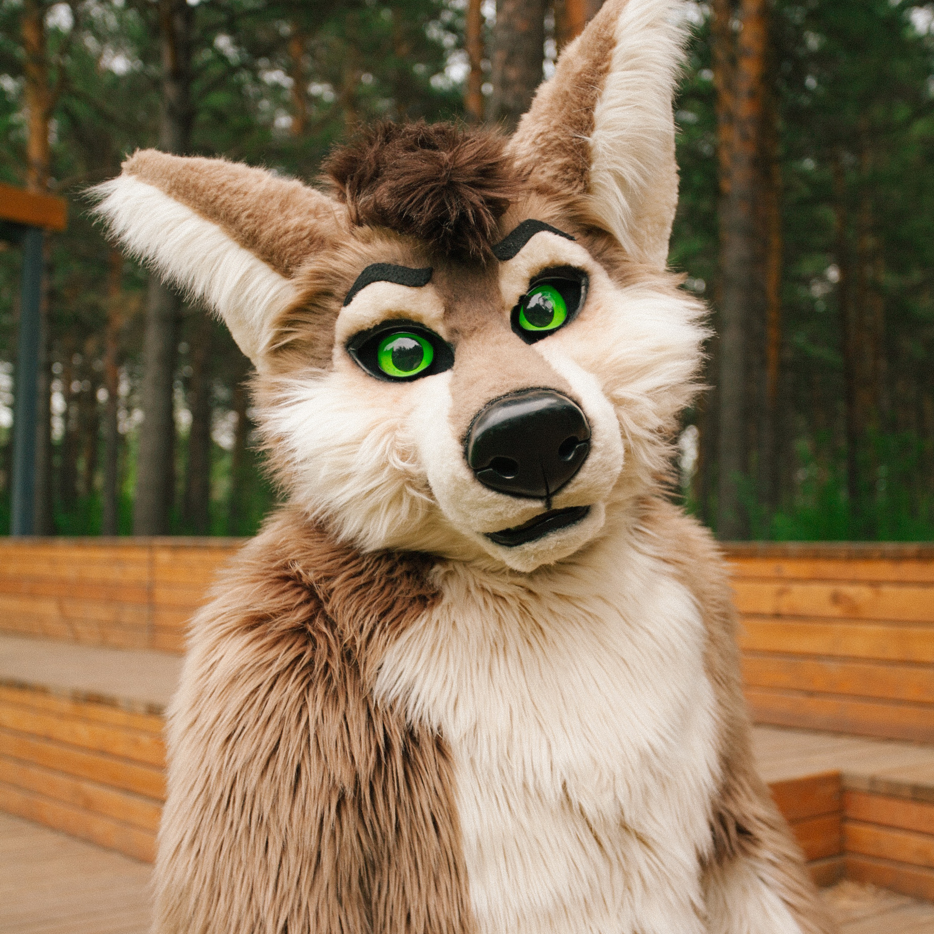 Отзывы клиентов. Фотограф Дарья Локотко в Красноярске