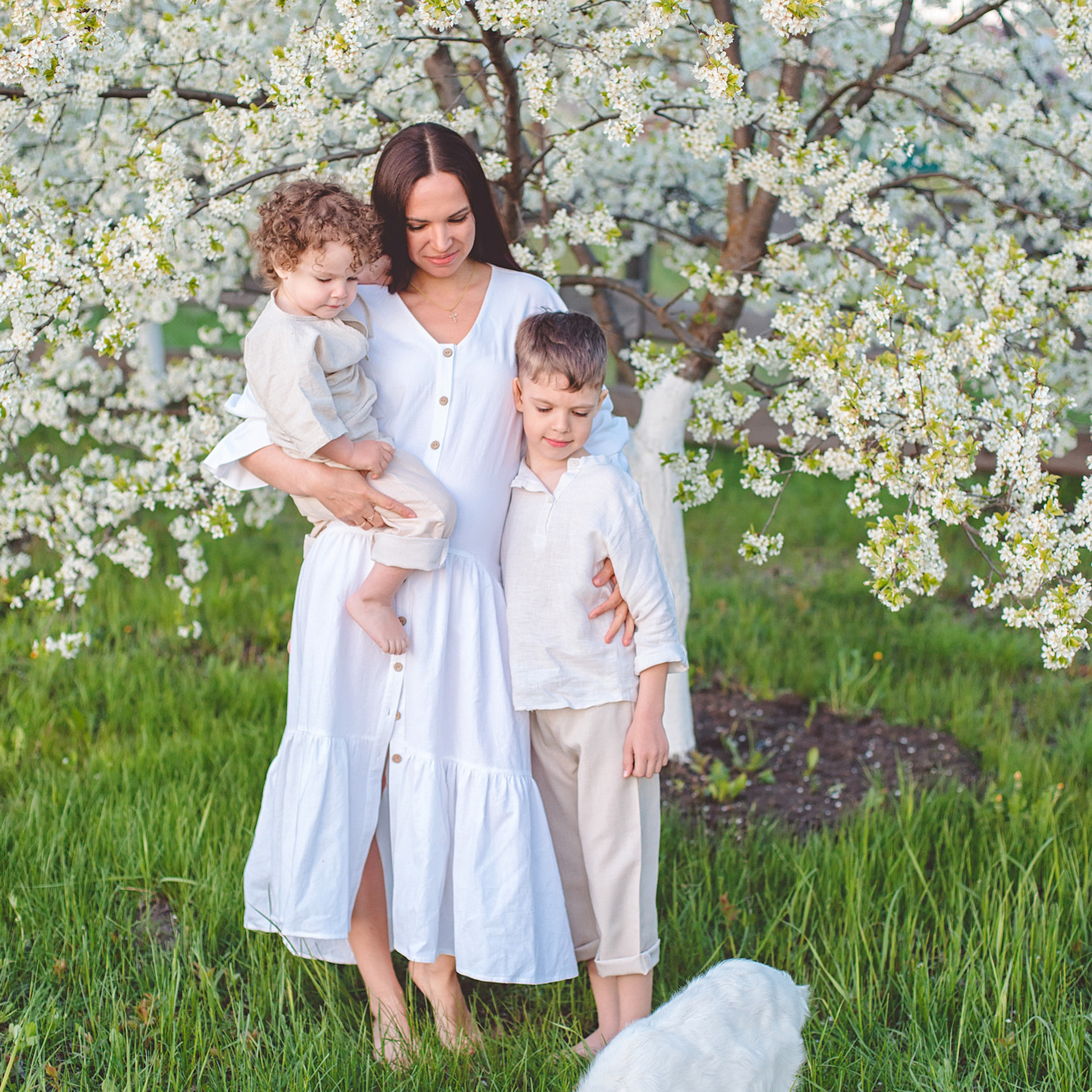 Цветущие сады