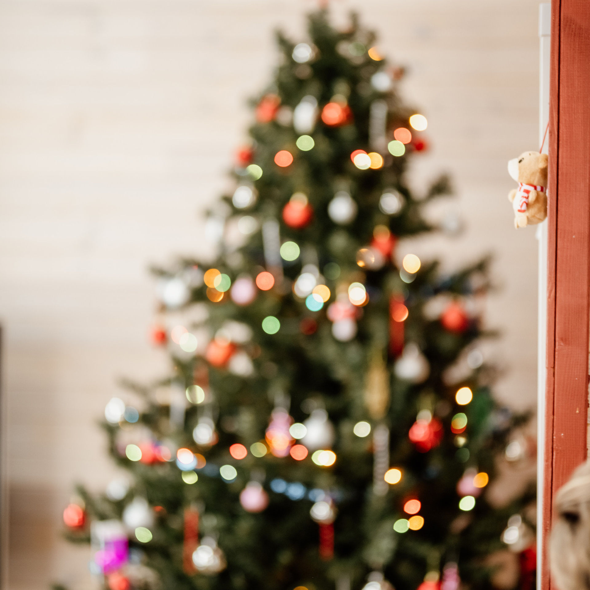 Отзывы. Семейный и детский фотограф в Туле