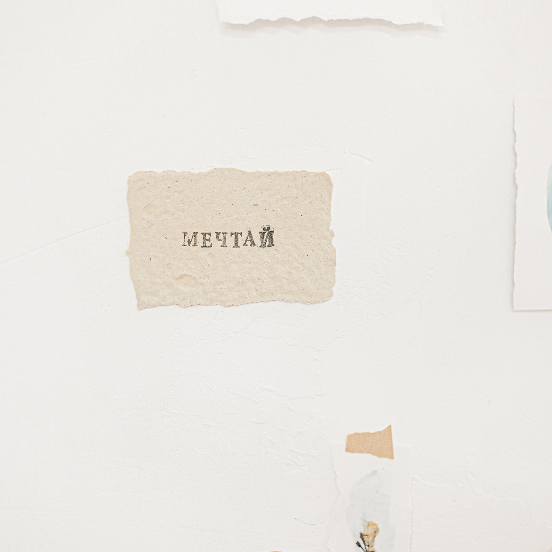 Отзывы. Семейный и детский фотограф в Туле