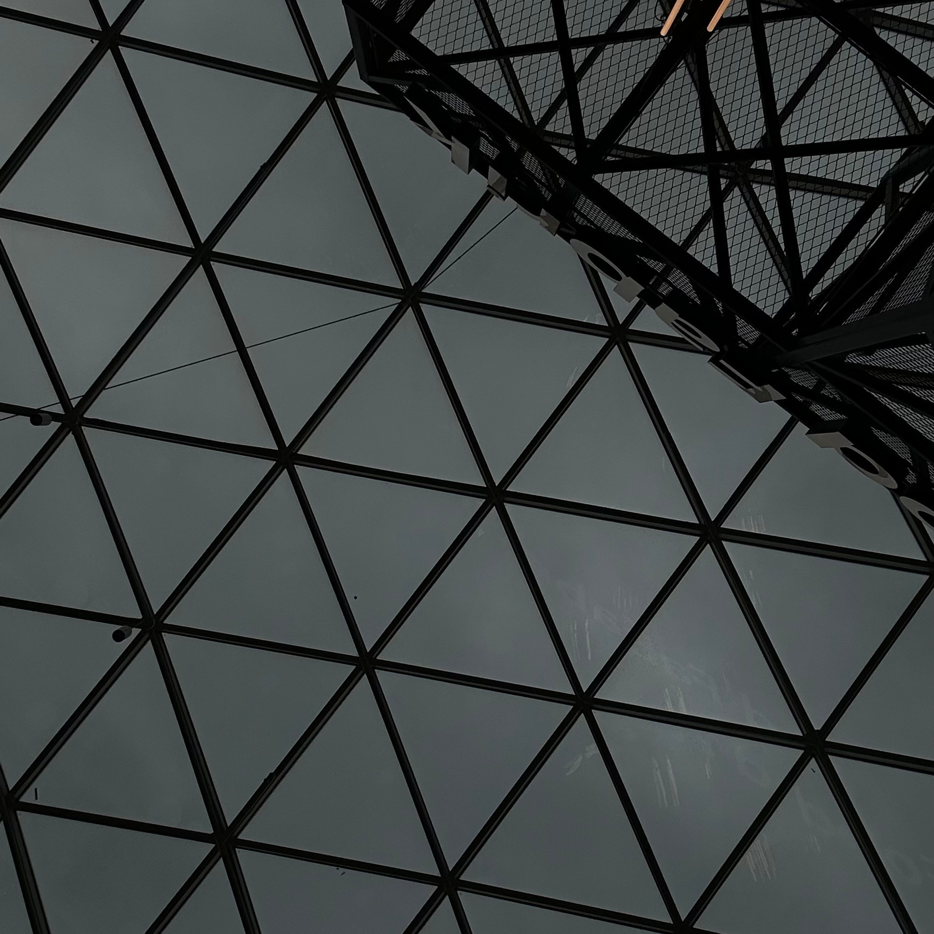 Отзывы. Photographer Helen Shabalina