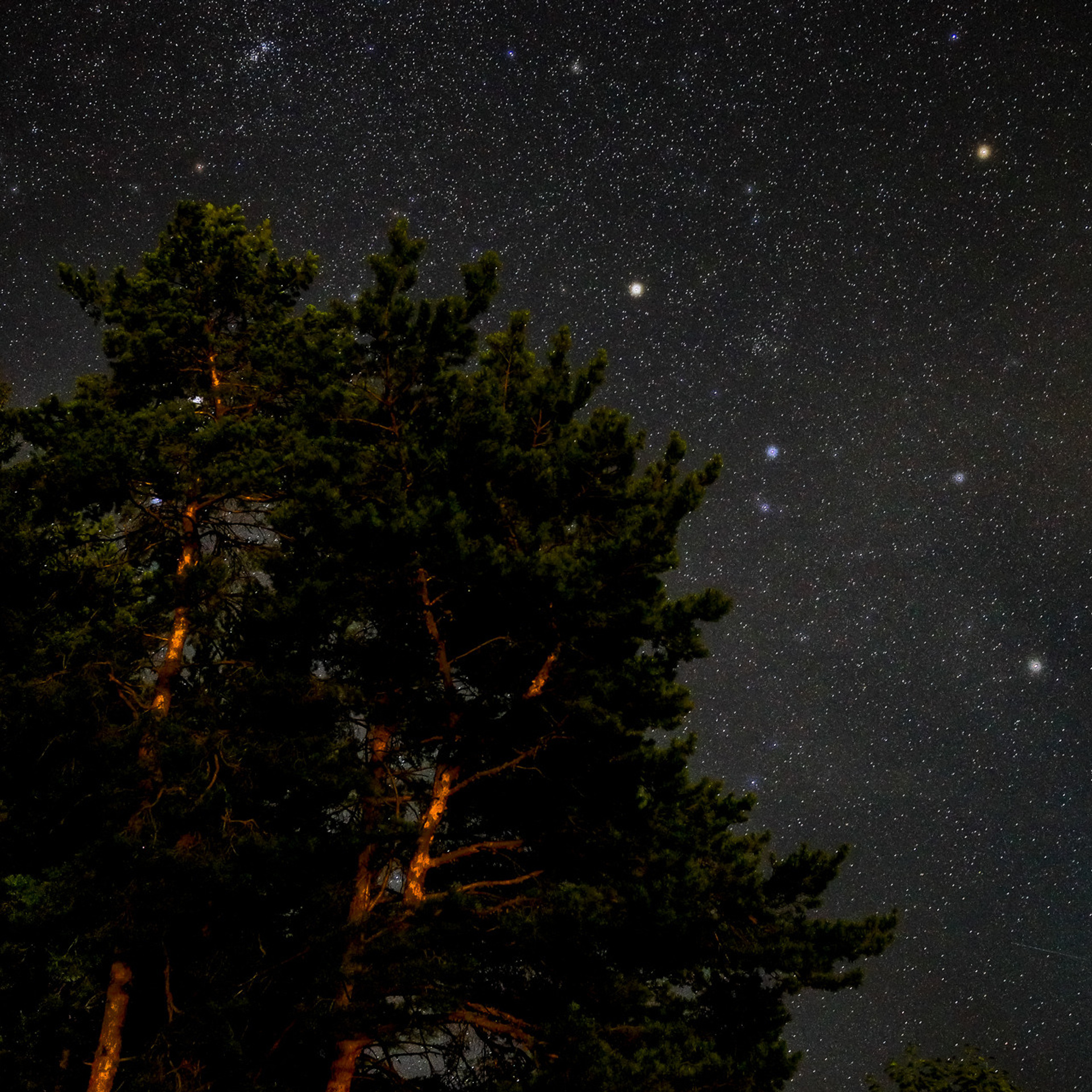 Ночной пейзаж