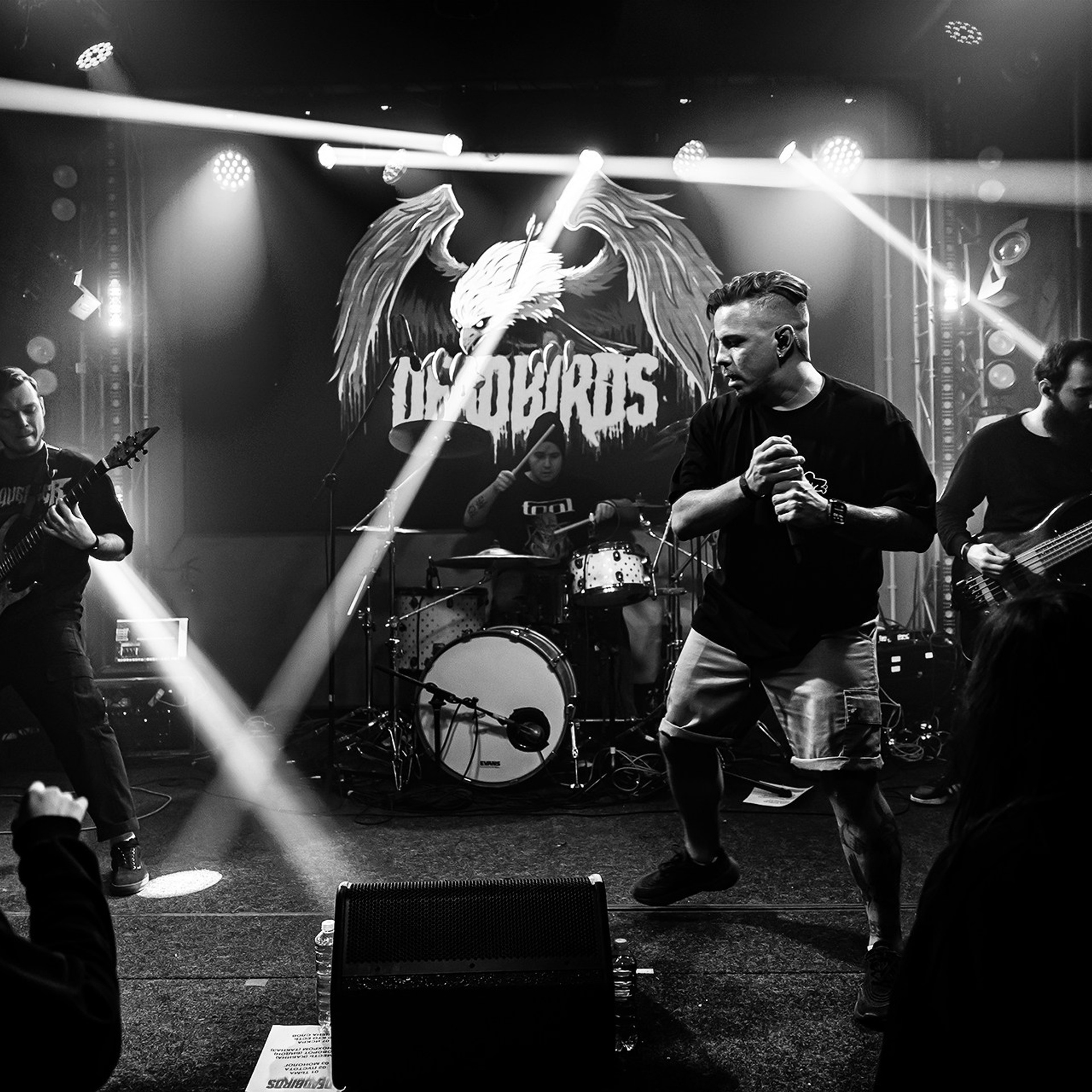 DEADBIRDS (18.01.26 | Москва | Eclipse). Концертный фотограф | Рукавцова Валентина