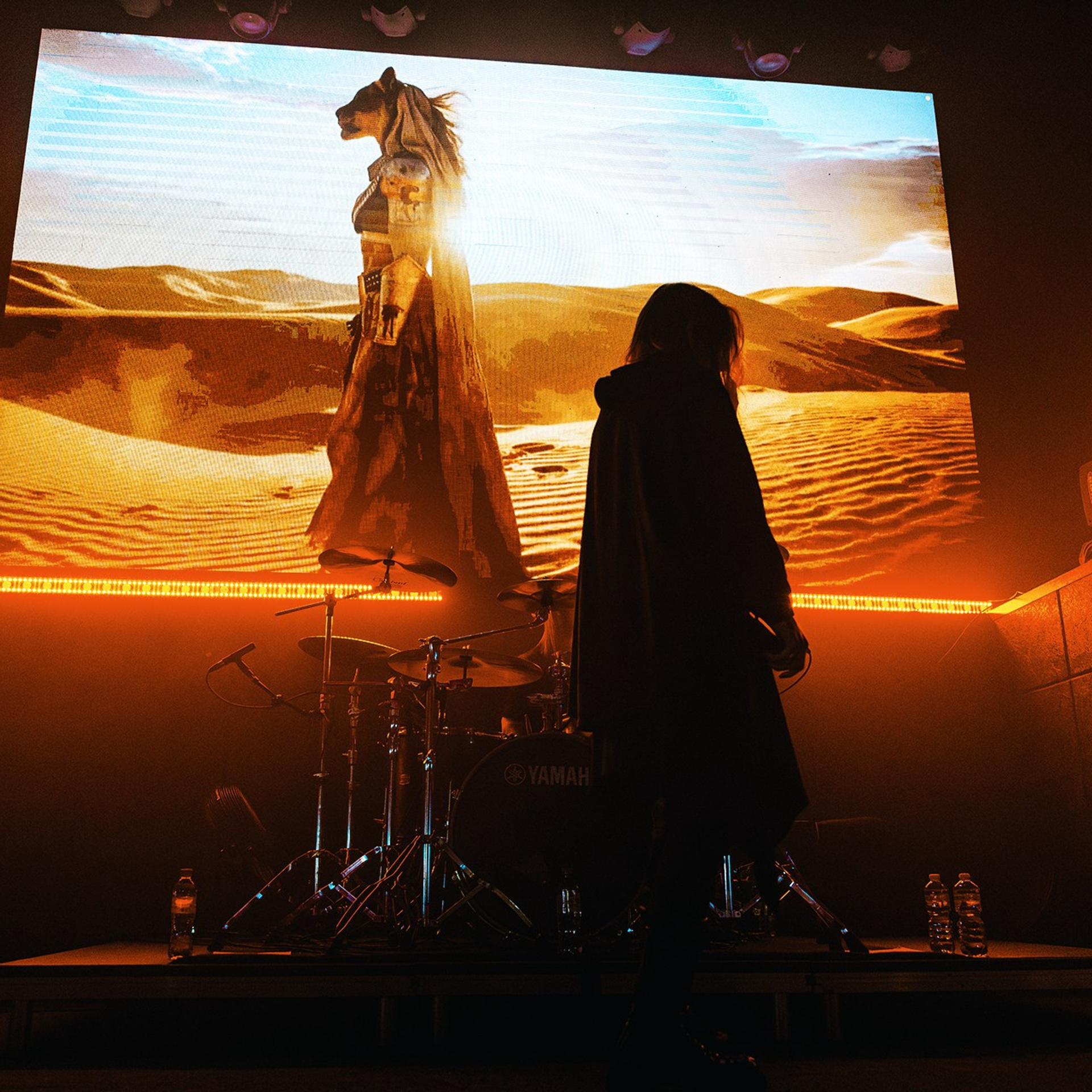 SHOKRAN (24.01.26 | Москва | Свобода). Концертный фотограф | Рукавцова Валентина