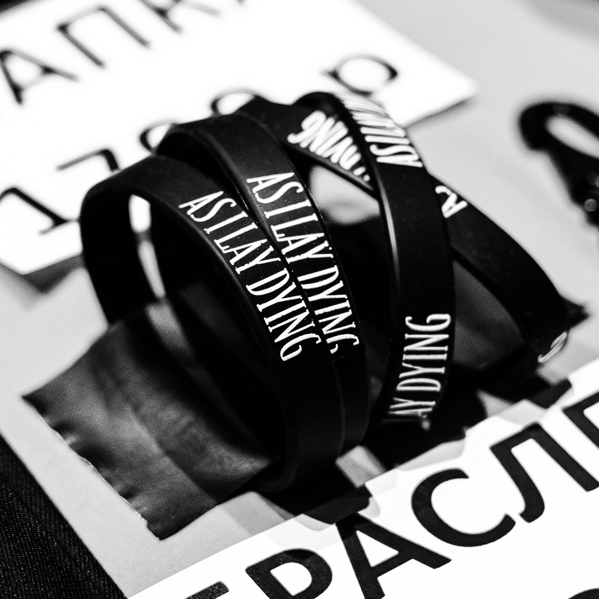 As I Lay Dying (08.03.26 | Нижний Новгород | Milo Concert Hall). Концертный фотограф | Рукавцова Валентина