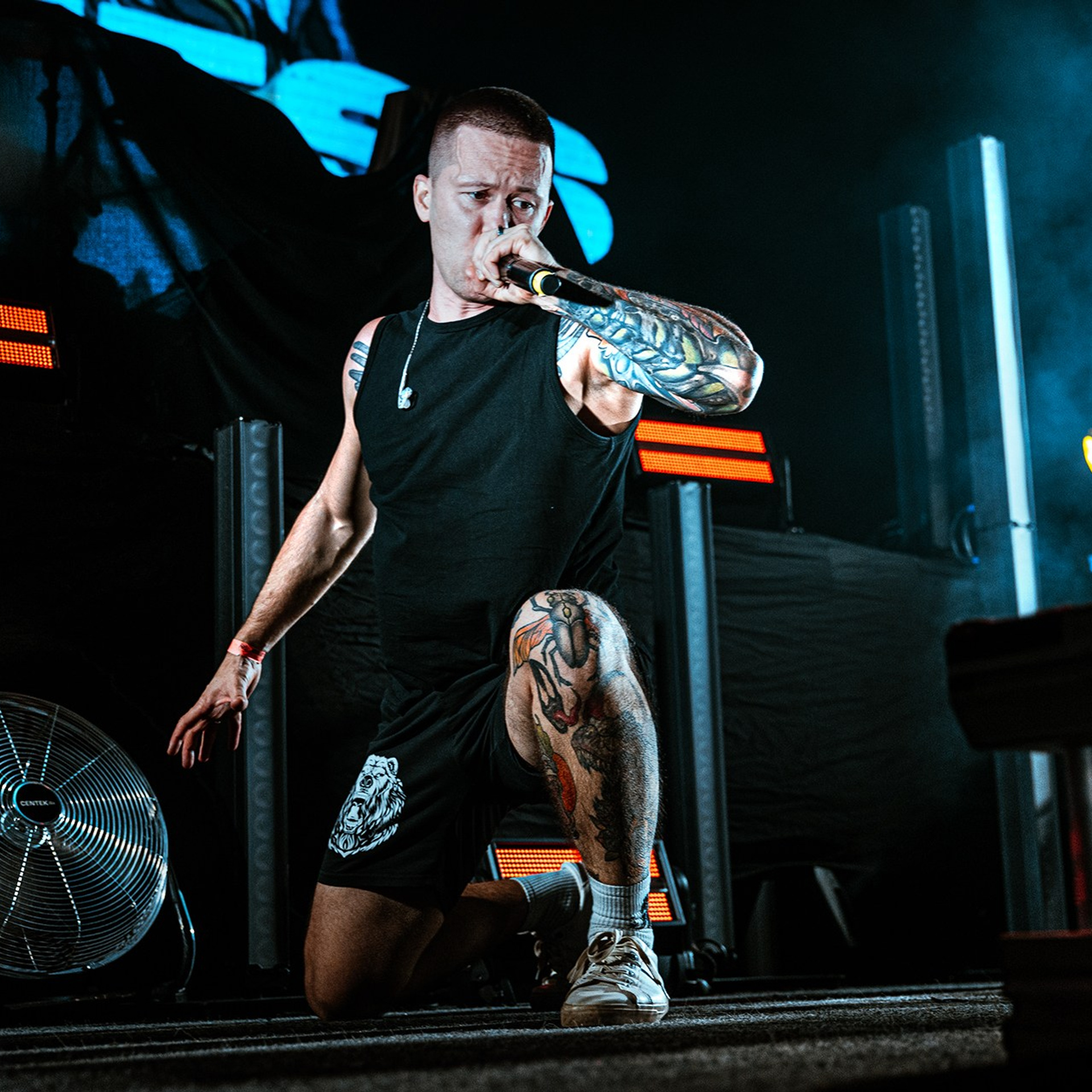 SADNESS OF GAIA (15.11.25 | Москва | BASE). Концертный фотограф | Рукавцова Валентина