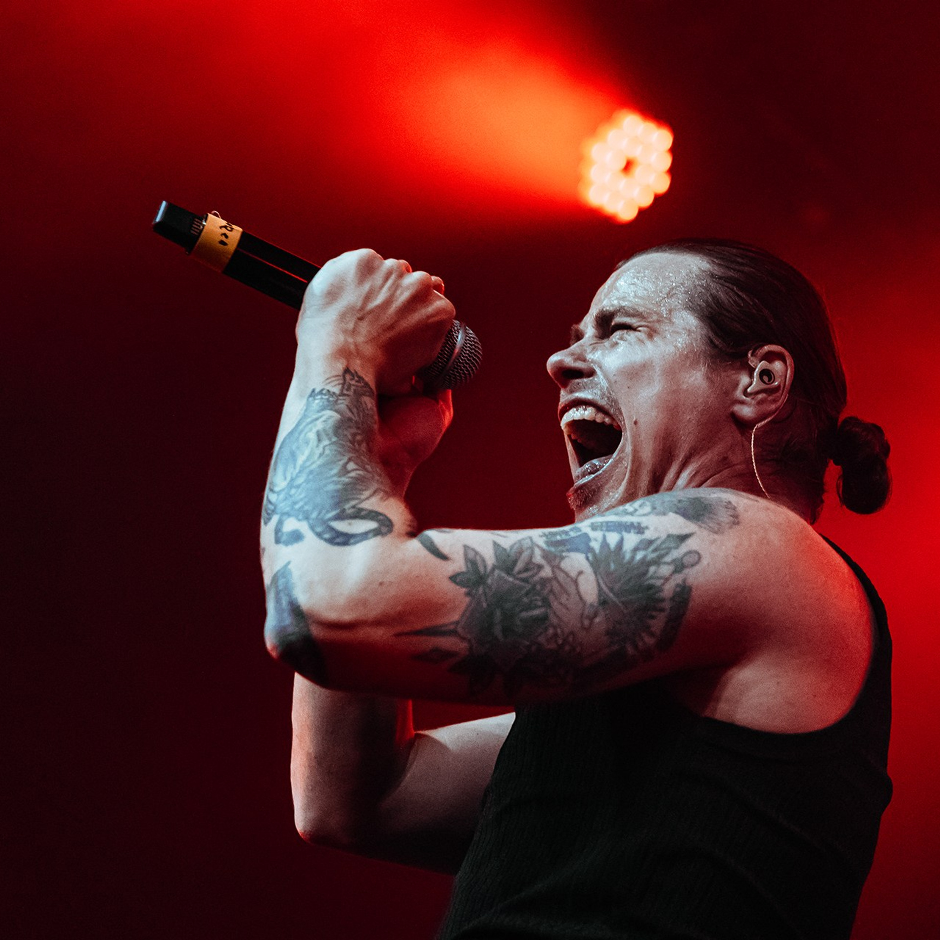 THE KOREA (30.08.25 | Москва | Урбан)