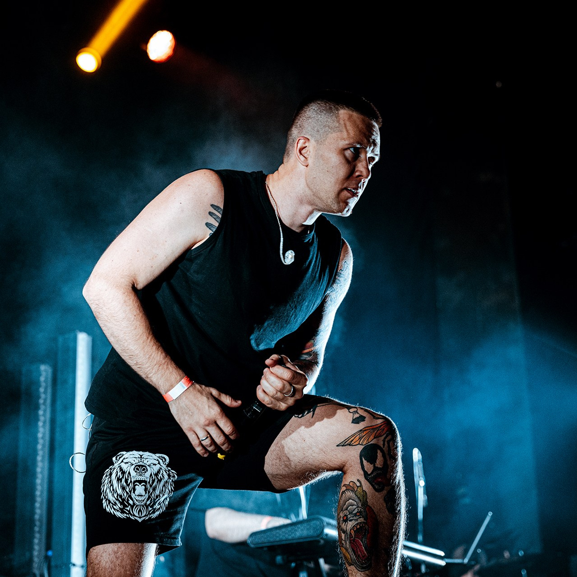 SADNESS OF GAIA (15.11.25 | Москва | BASE). Концертный фотограф | Рукавцова Валентина