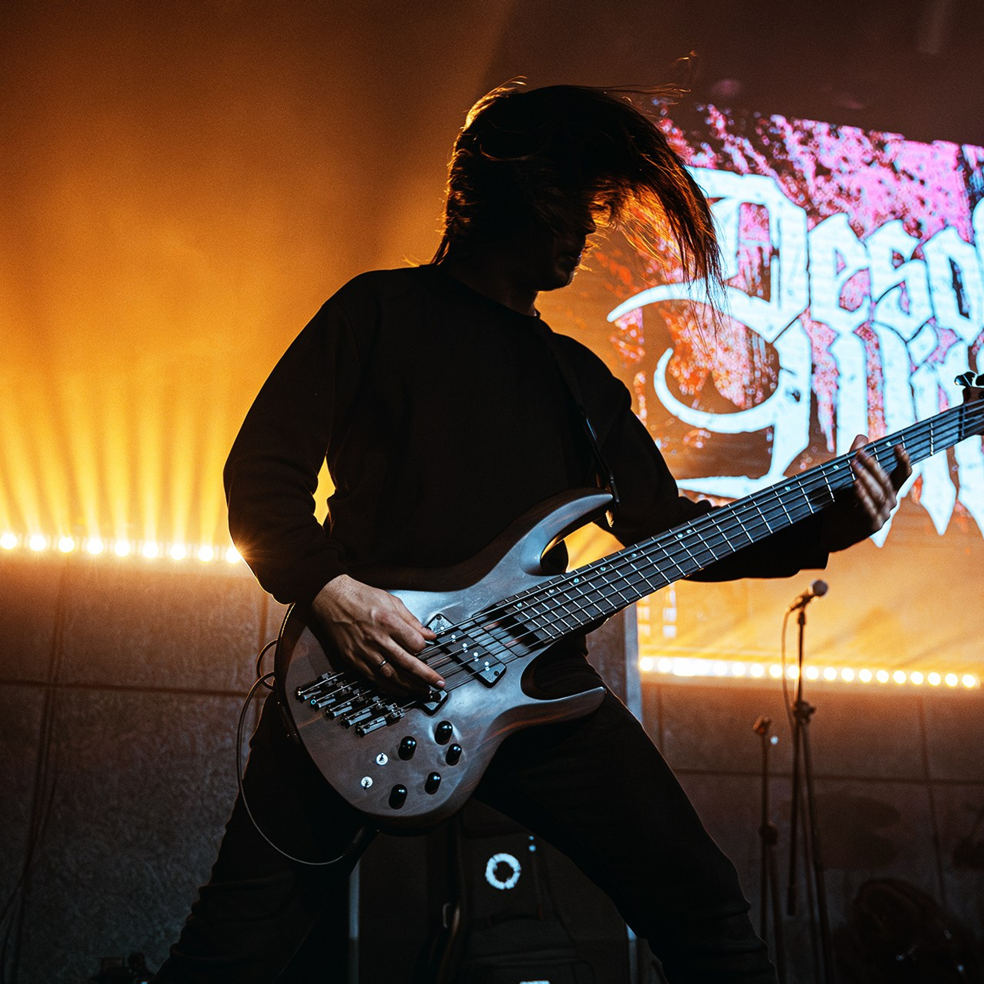 Desolate Within (24.01.26 | Москва | Свобода). Концертный фотограф | Рукавцова Валентина