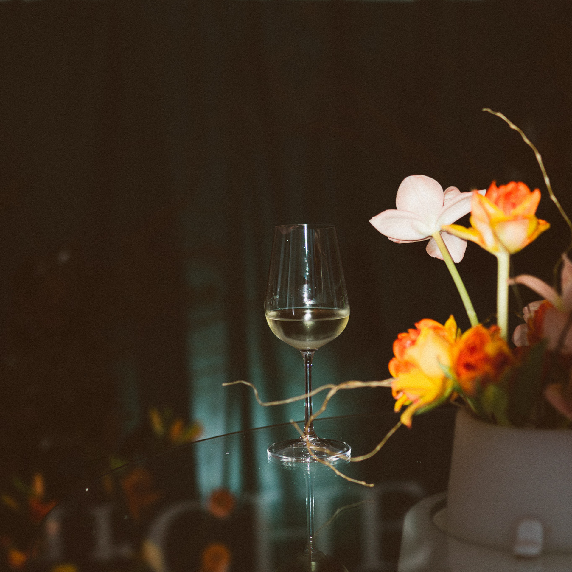 Вечеринка Furchef