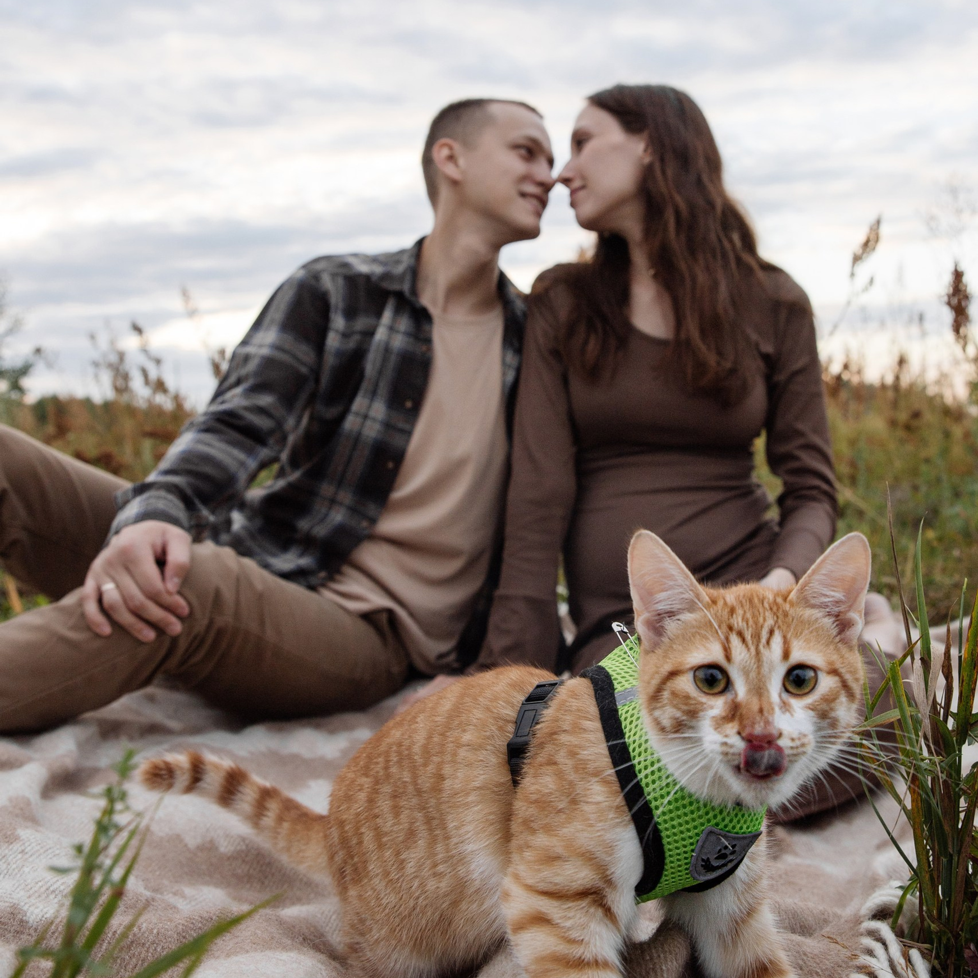 «Семья — это один из шедевров природы»